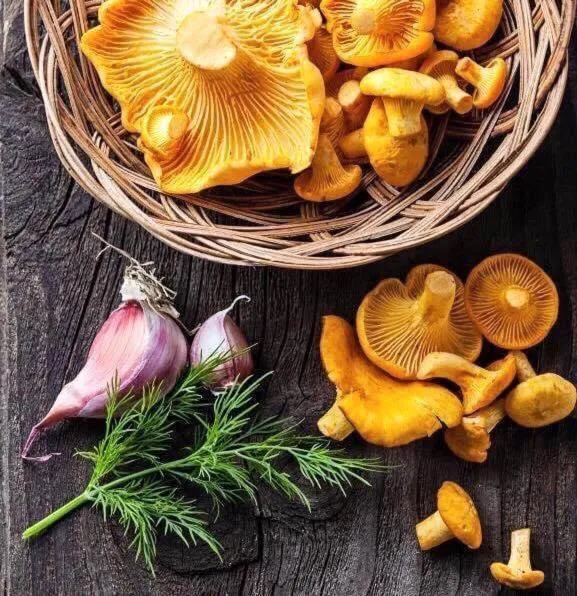 Palatul Brukenthal Avrig