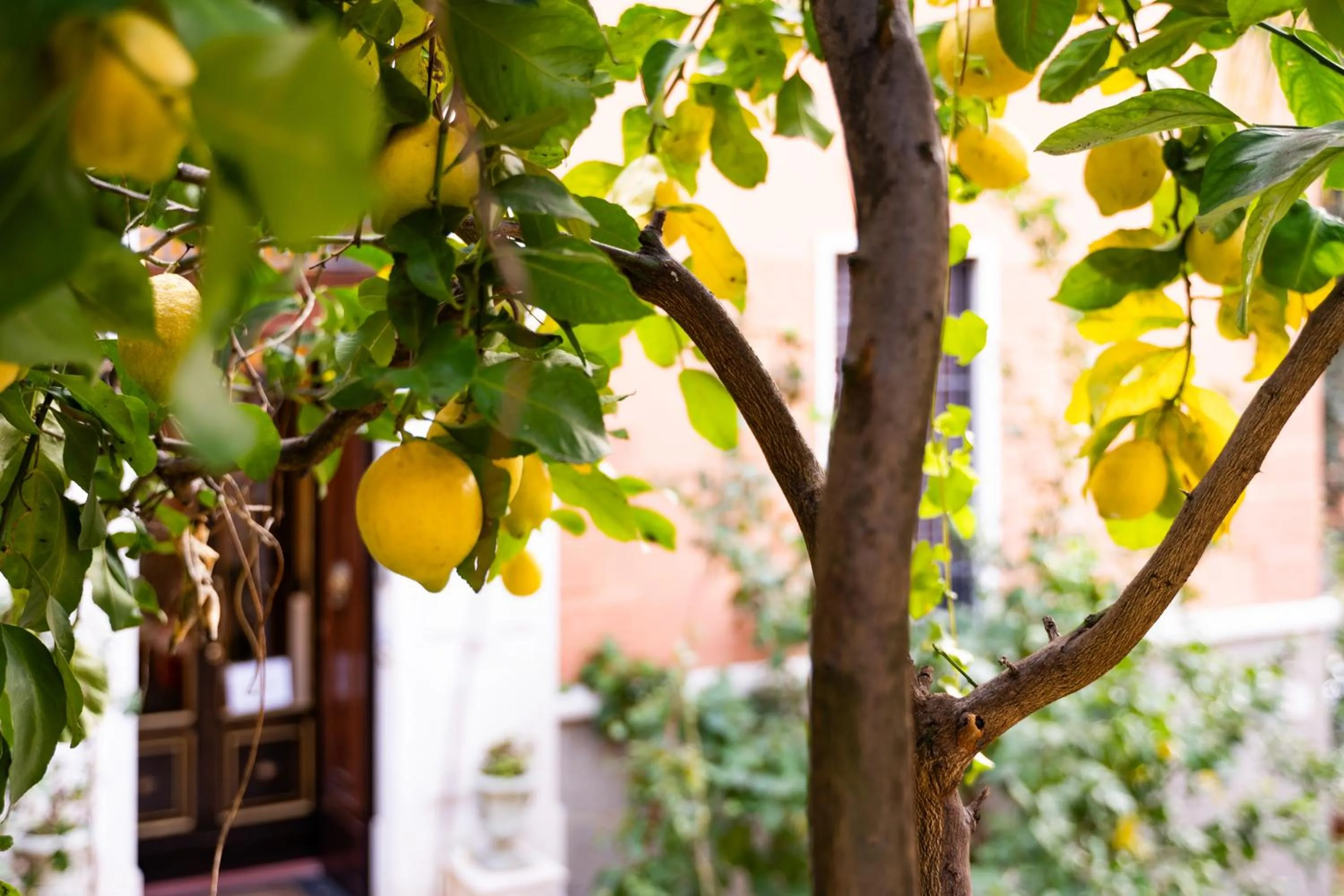 Garden in Contessa Arrivabene Antica Dimora
