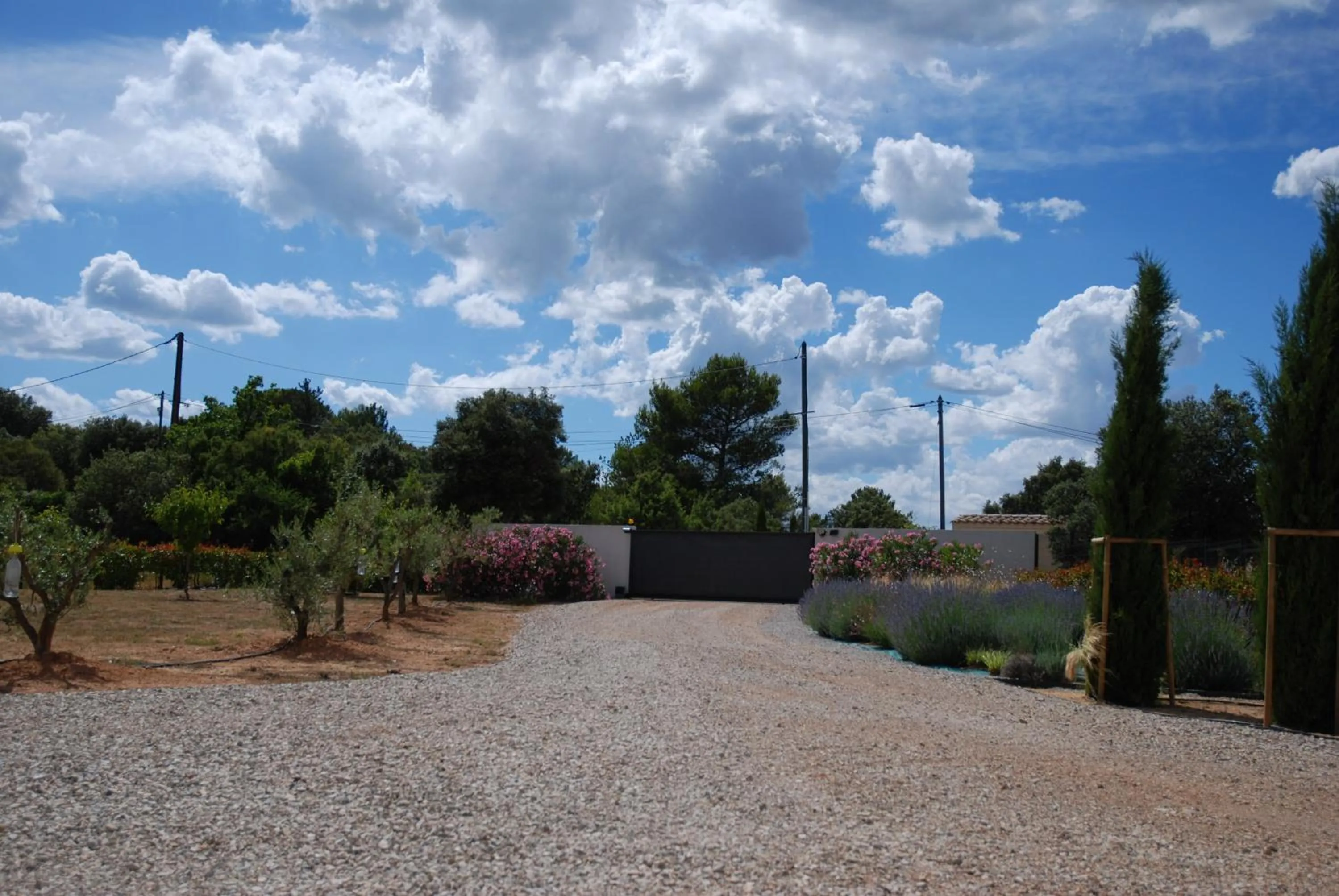 Garden view in Villa Otilia-Bed and Breakfast-Chambres d'hôtes en Provence