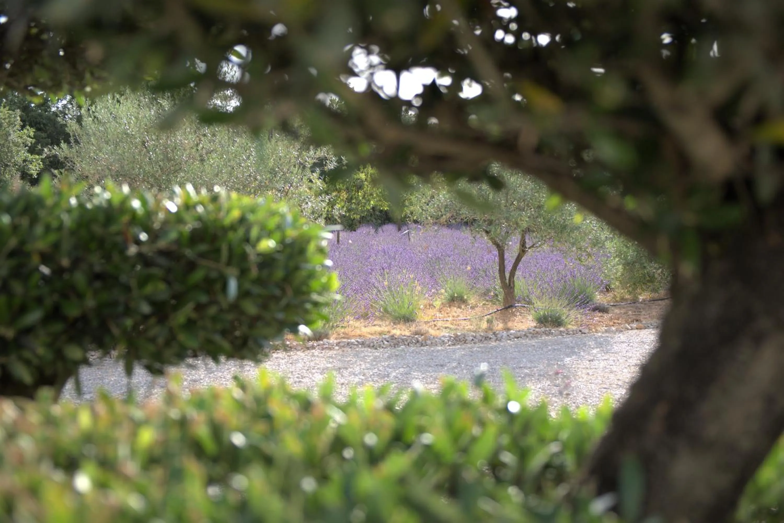 Property building in Villa Otilia-Bed and Breakfast-Chambres d'hôtes en Provence