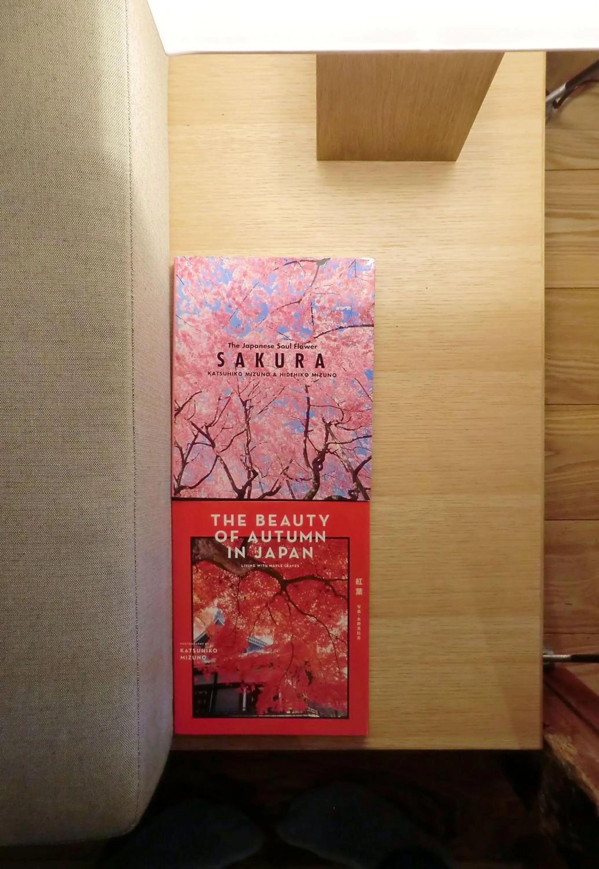 Living room in Machiya Hotel YANAGI