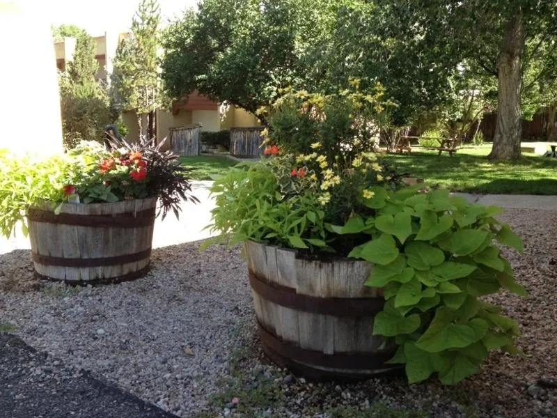 Decorative detail in El Pueblo Lodge