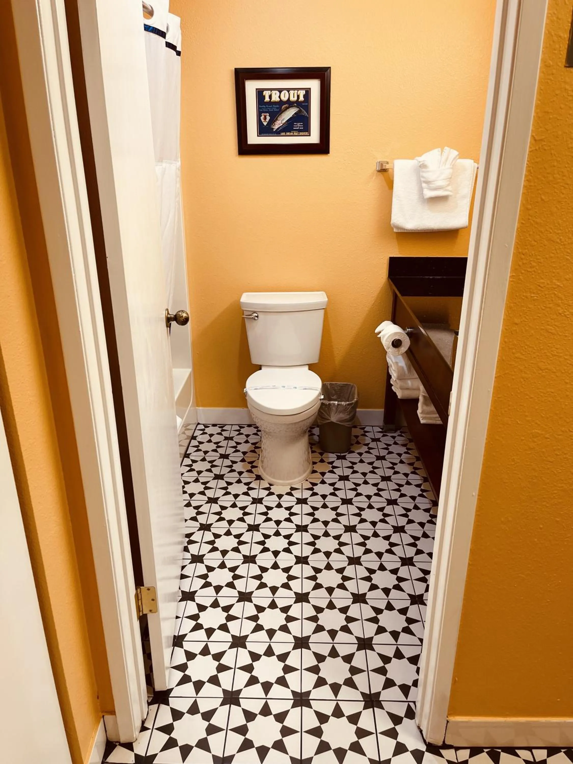 Toilet in Apple Inn Motel