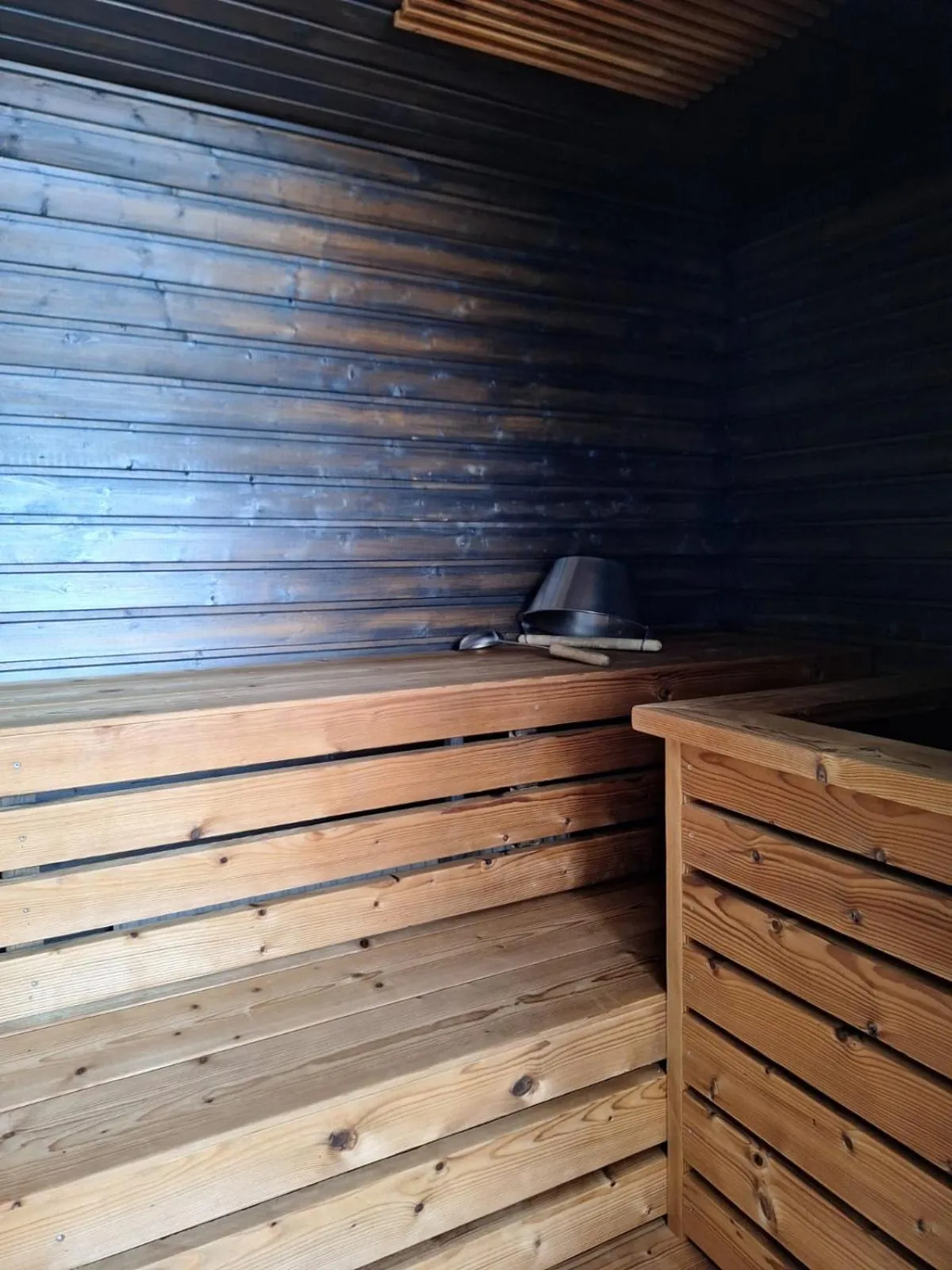 Sauna in Hotel Käenpesä