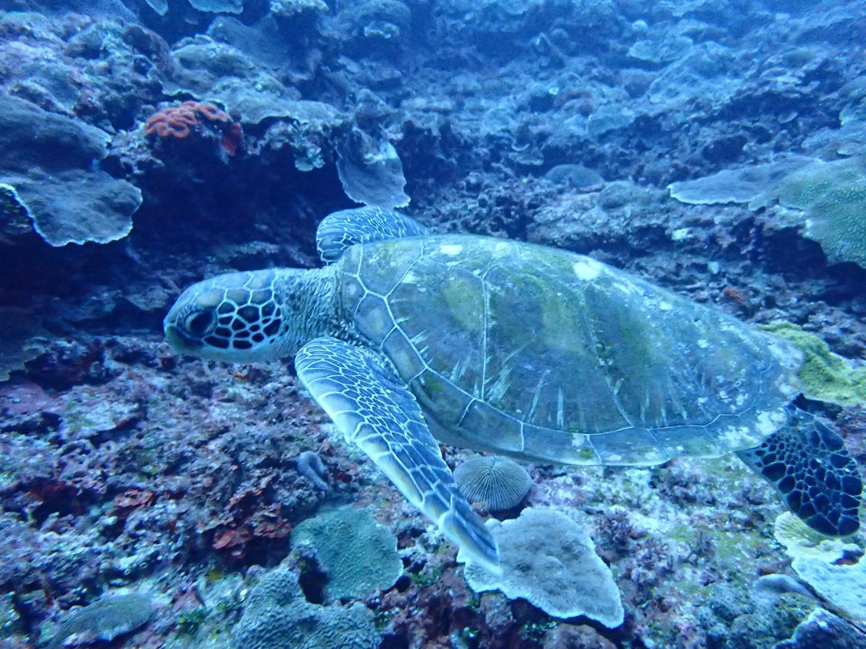 Off site in Ocean Resort PMC