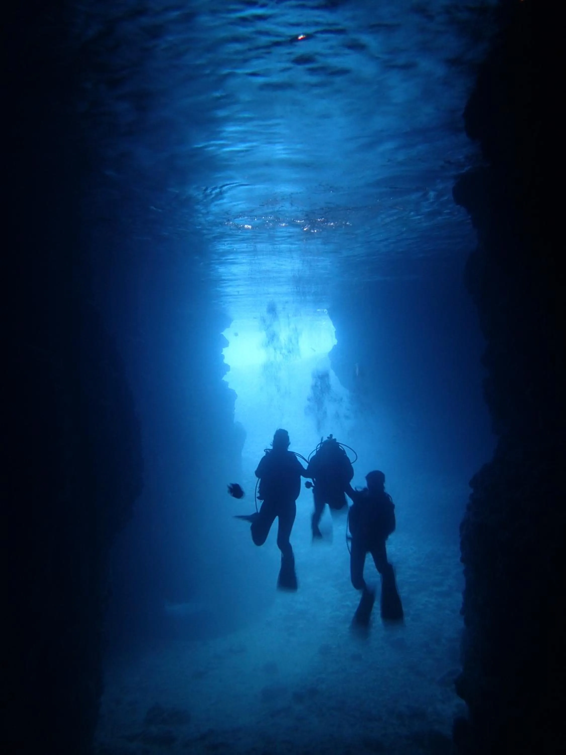 Snorkeling in Ocean Resort PMC