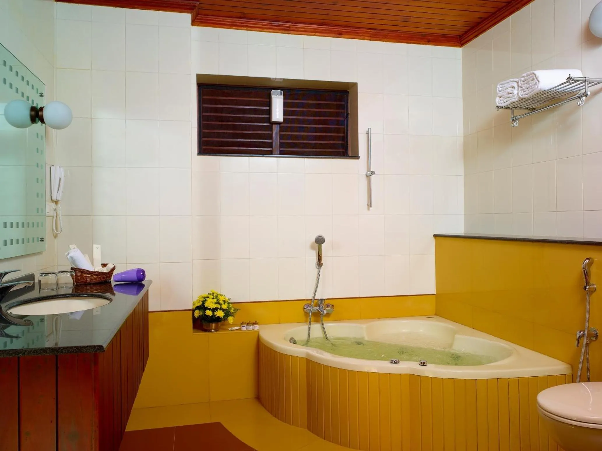 Bathroom in Elephant Court Thekkady