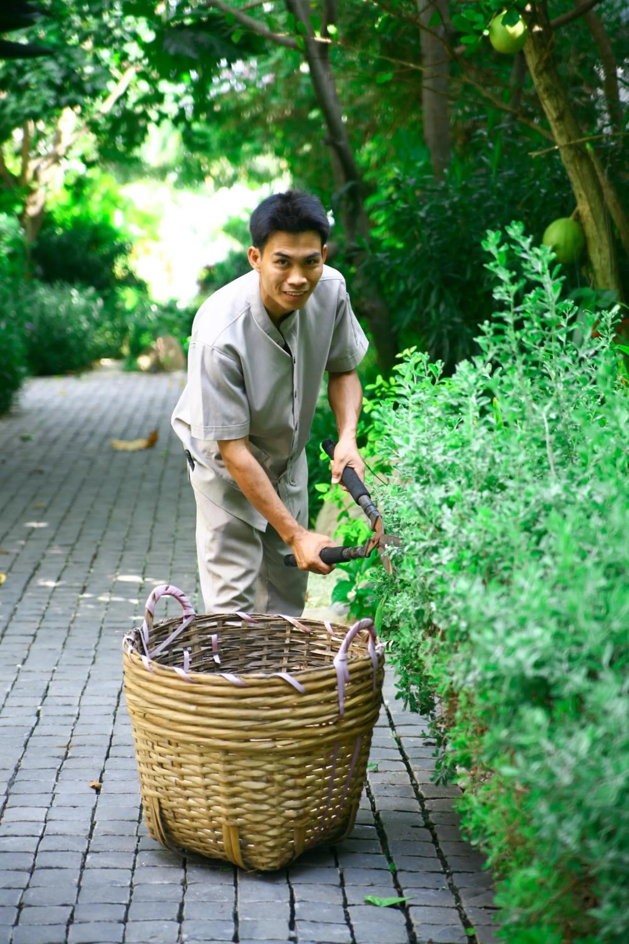 Garden in Villa Aria Boutique Muine