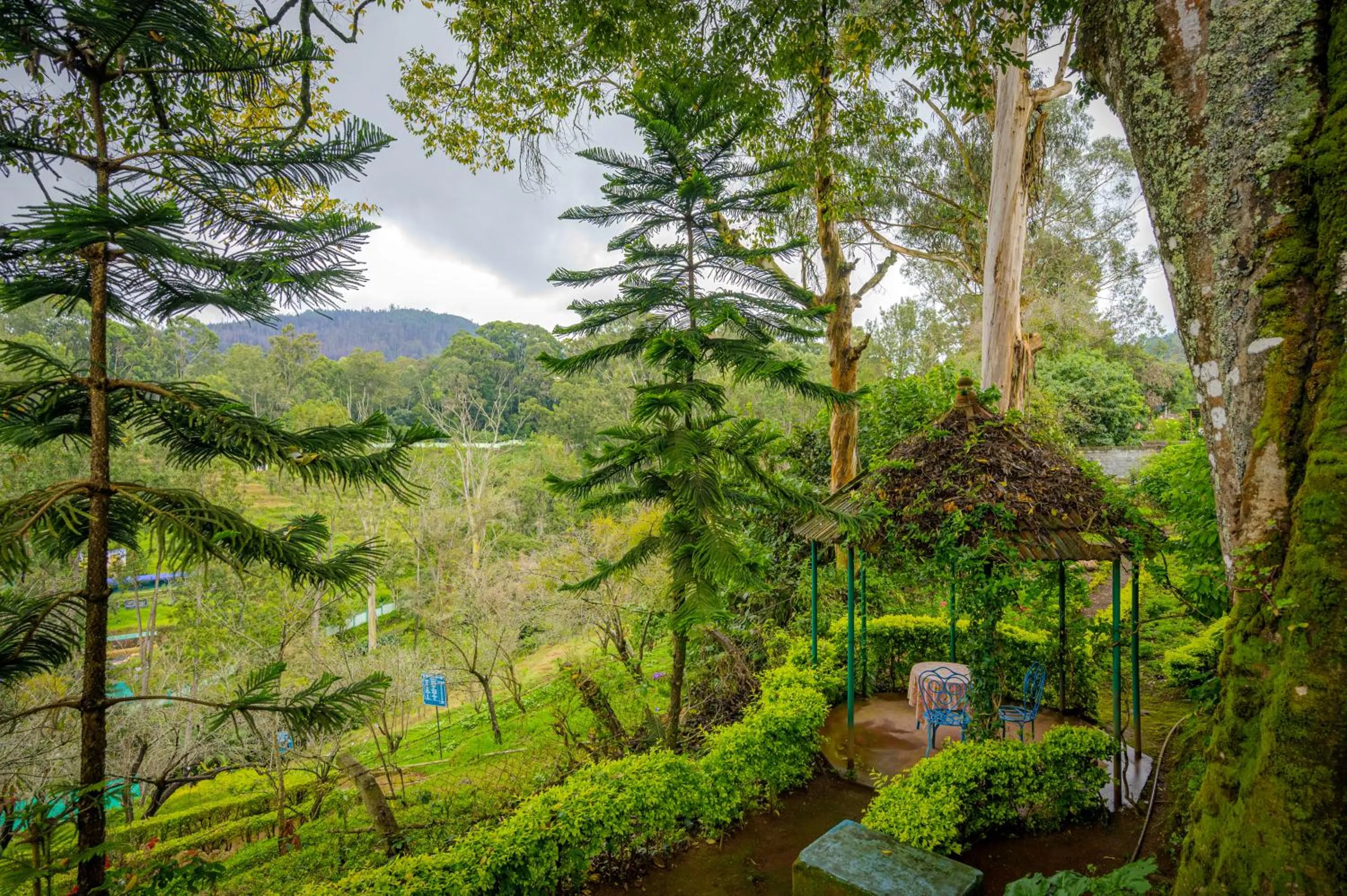 Natural landscape in Neemrana's Wallwood Garden