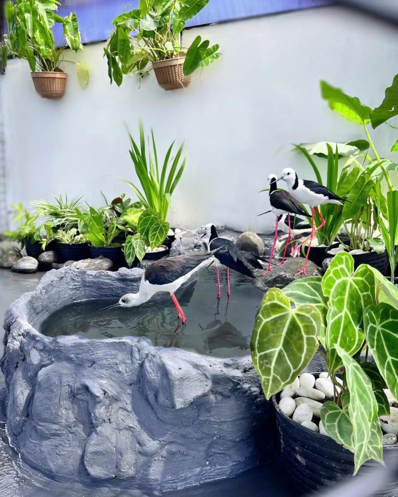 Area and facilities in Hotel Fortunagrande Jember By Fosia Hotels