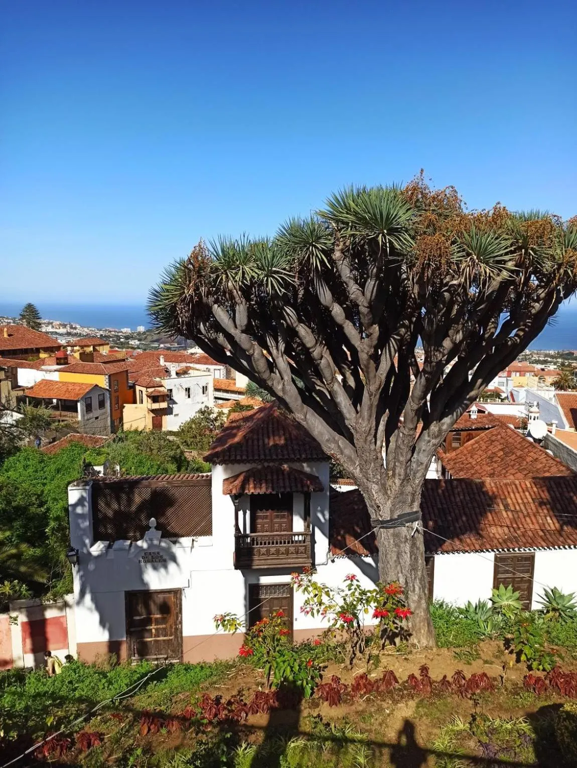 Neighbourhood in Hostel Tenerife