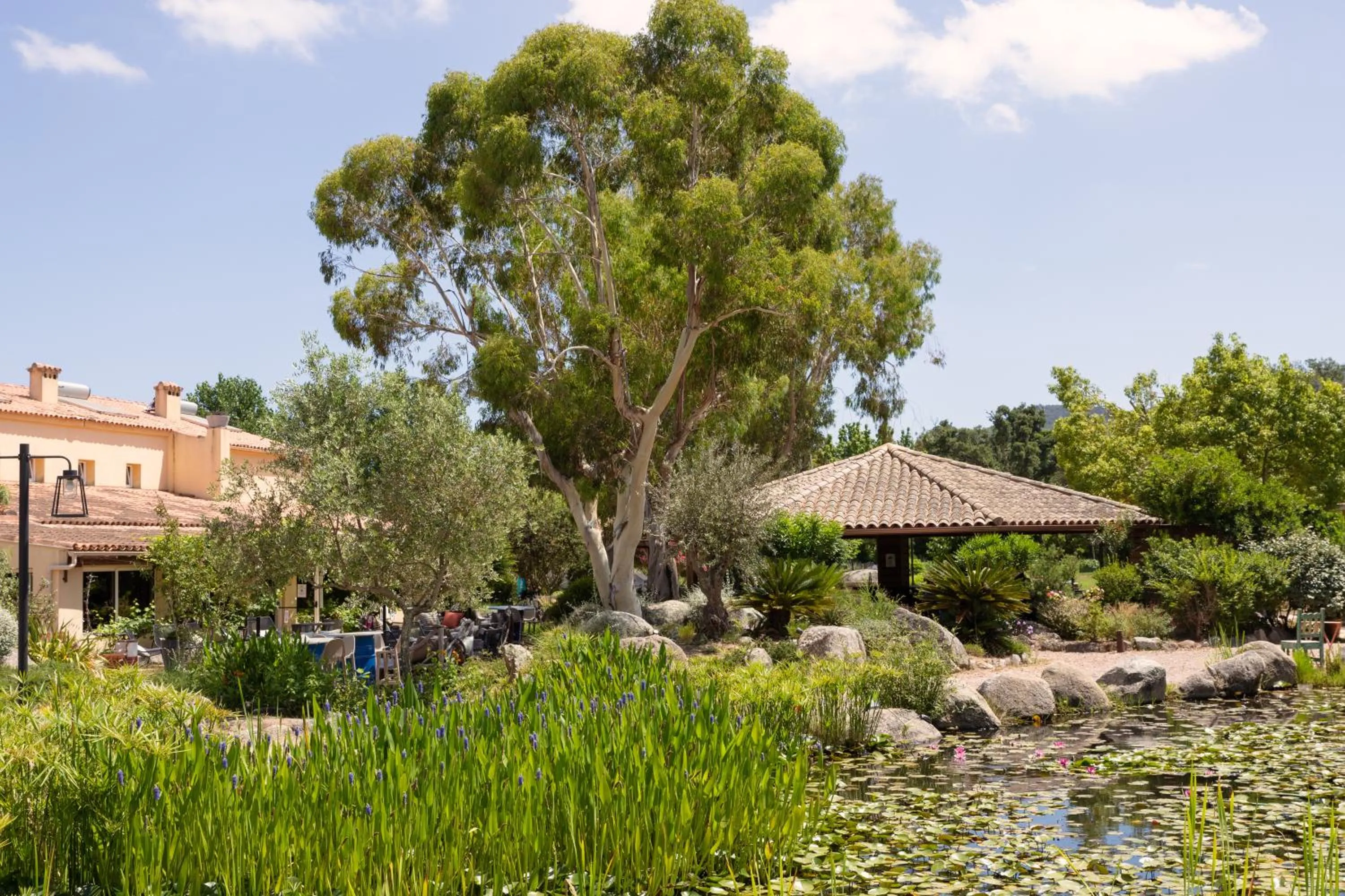 View (from property/room) in San Giovanni
