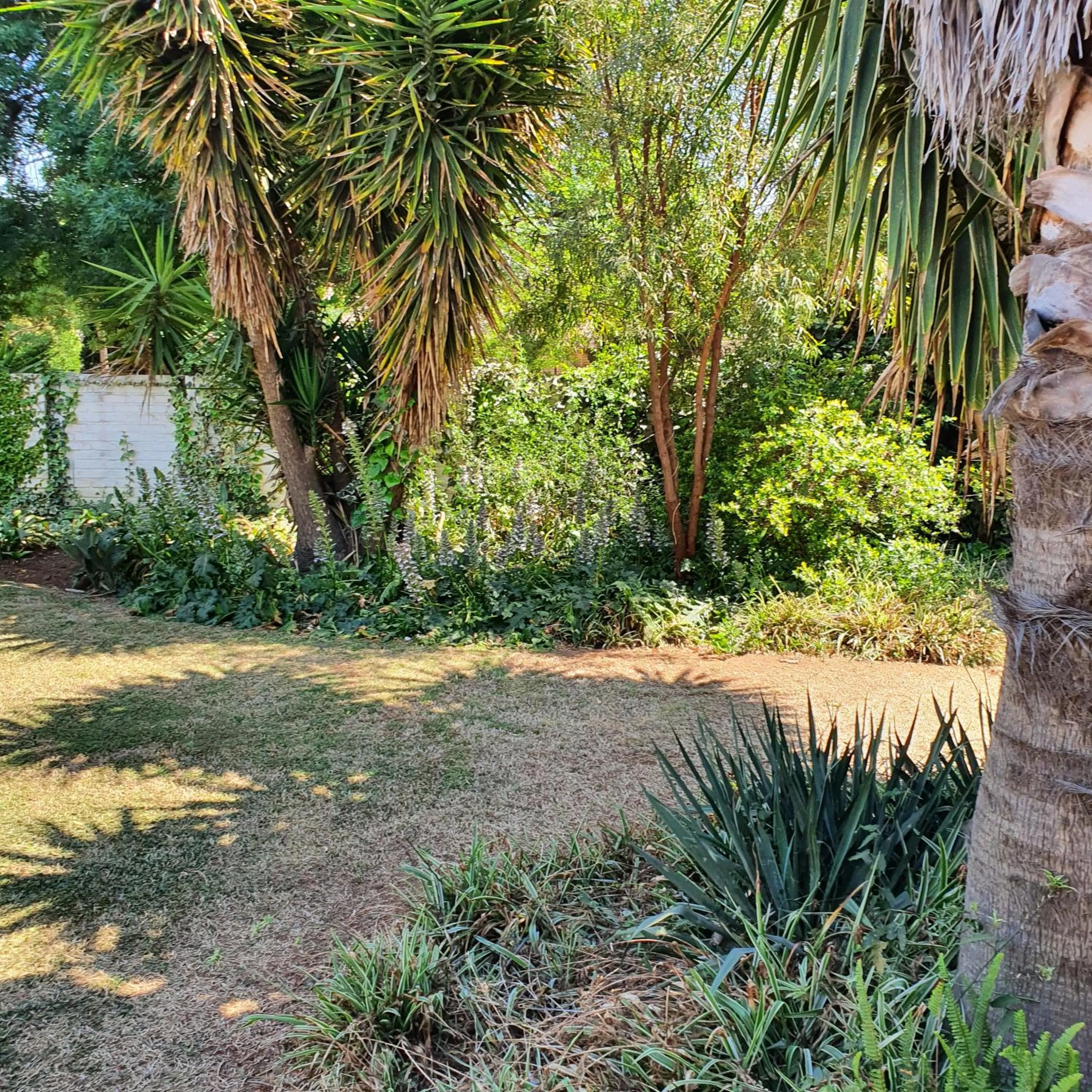 Garden in New Beginnings B&B