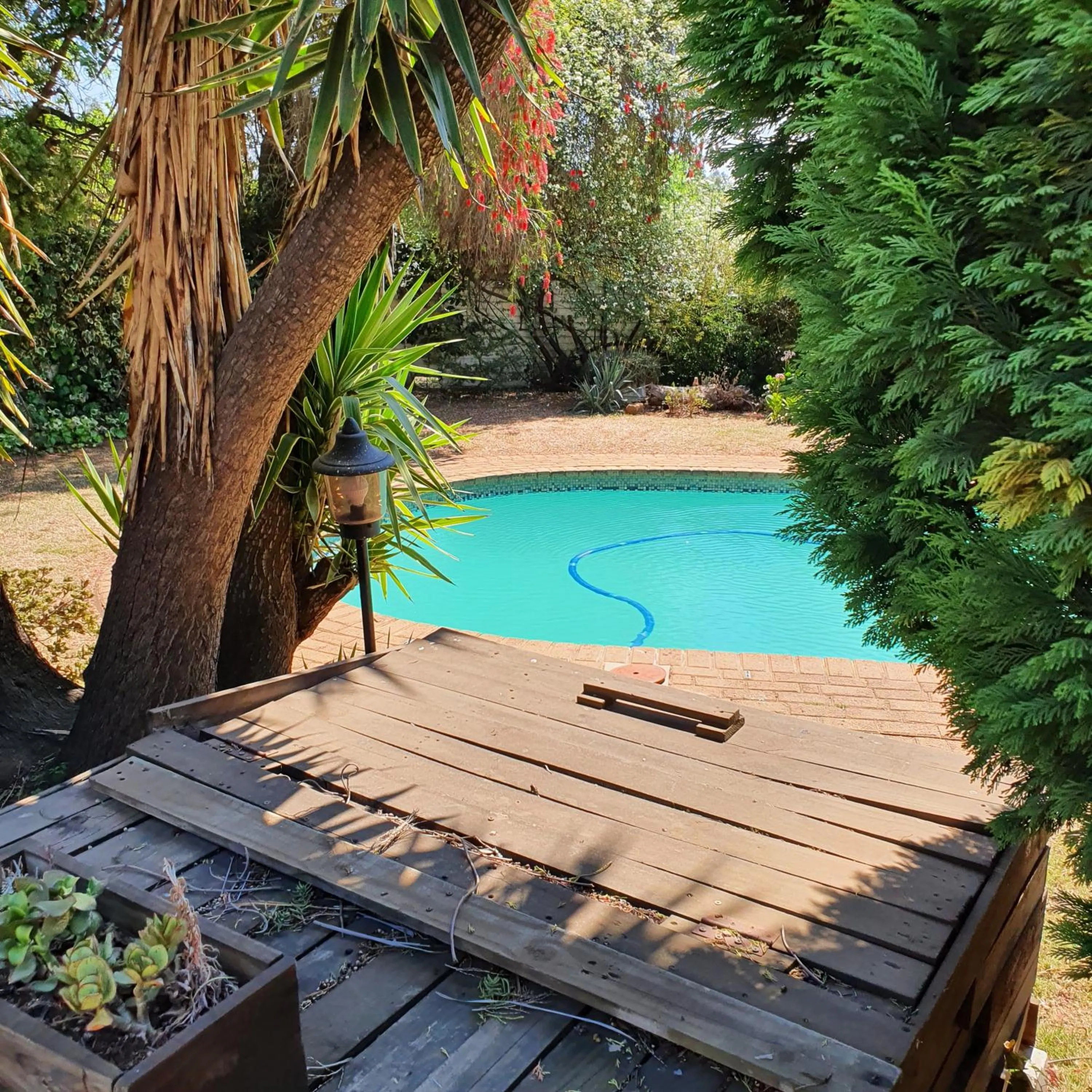 Garden in New Beginnings B&B