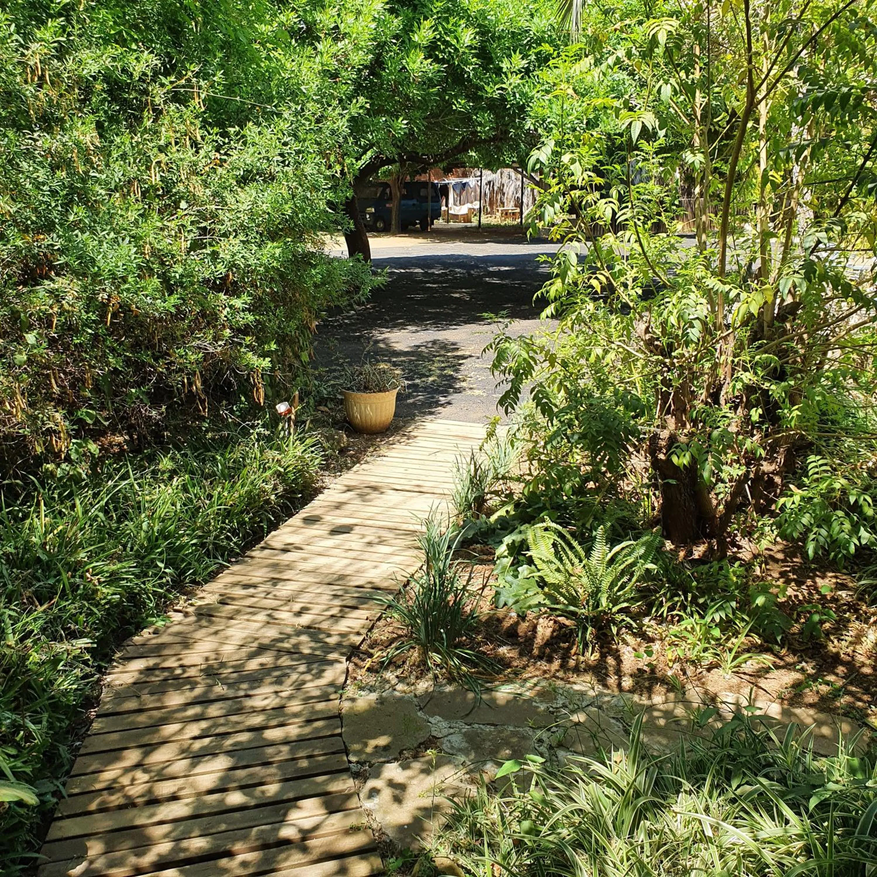 Garden in New Beginnings B&B