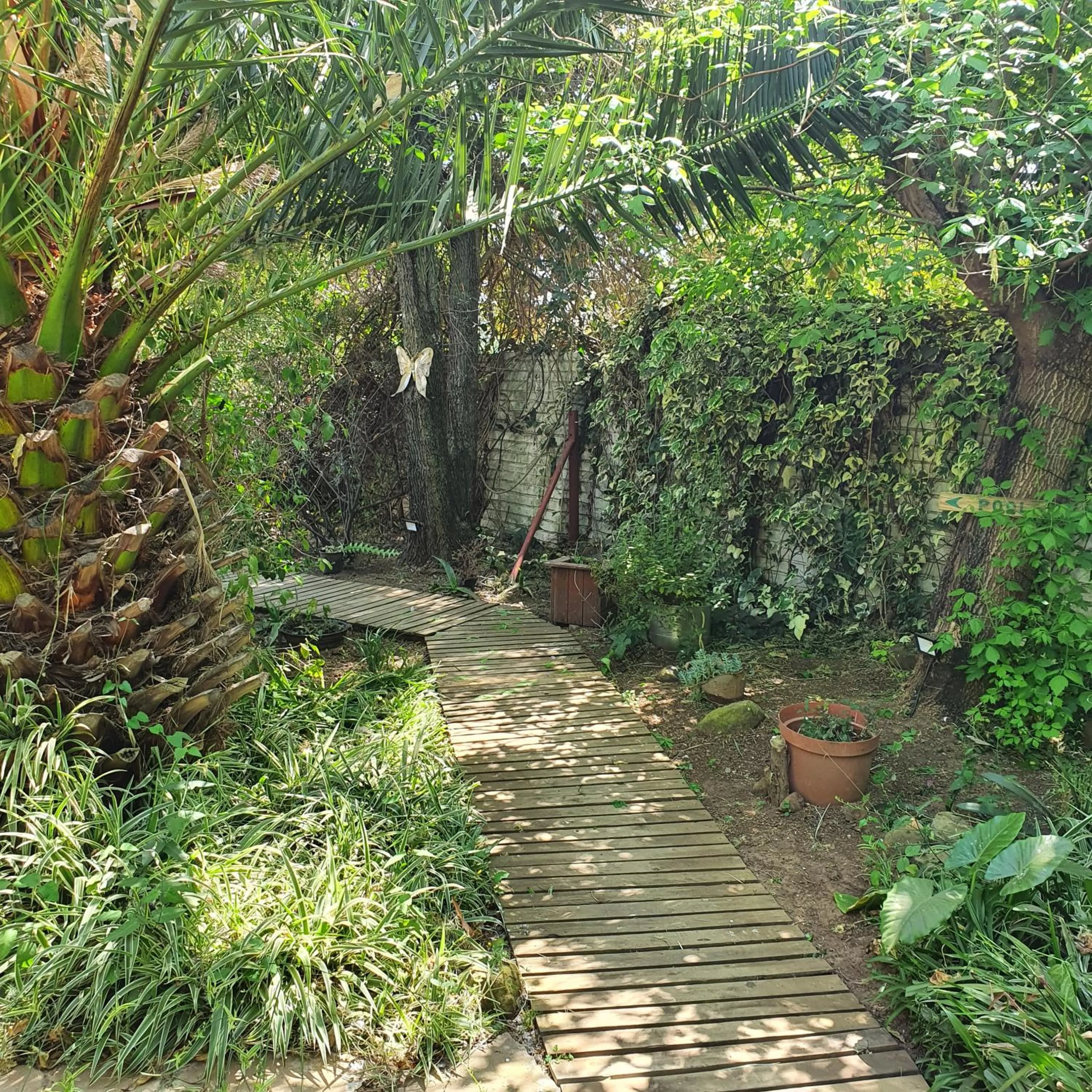 Garden in New Beginnings B&B