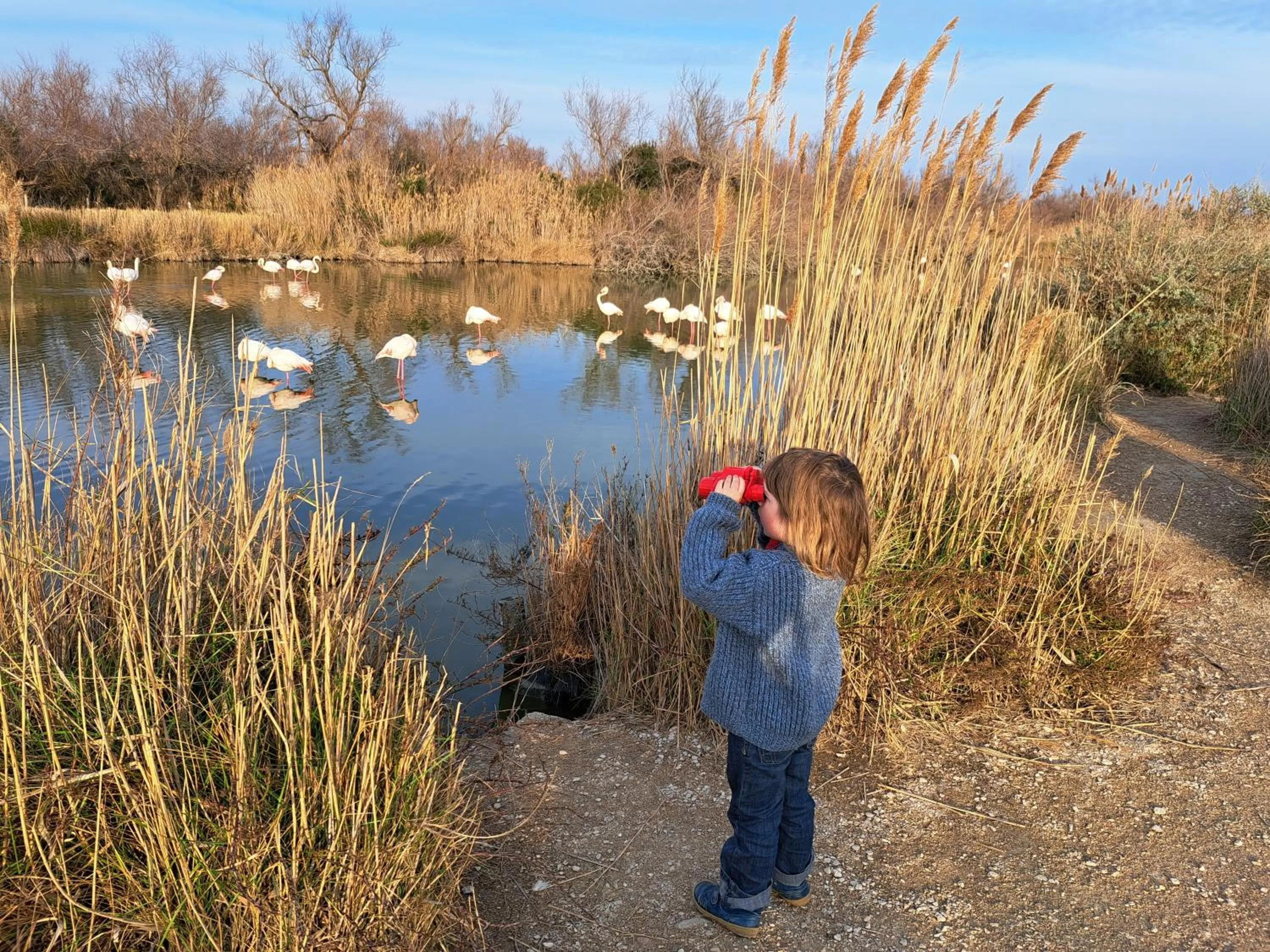 Activities in Le Mas du Lac