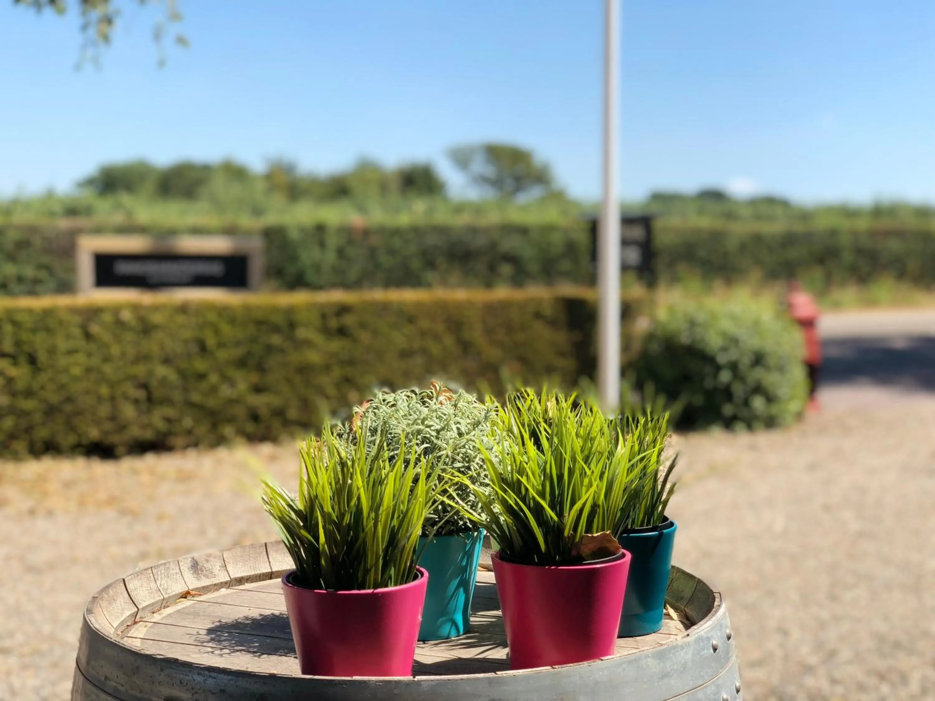 Facade/entrance in Hotel de Plank - alle kamers met airconditioning