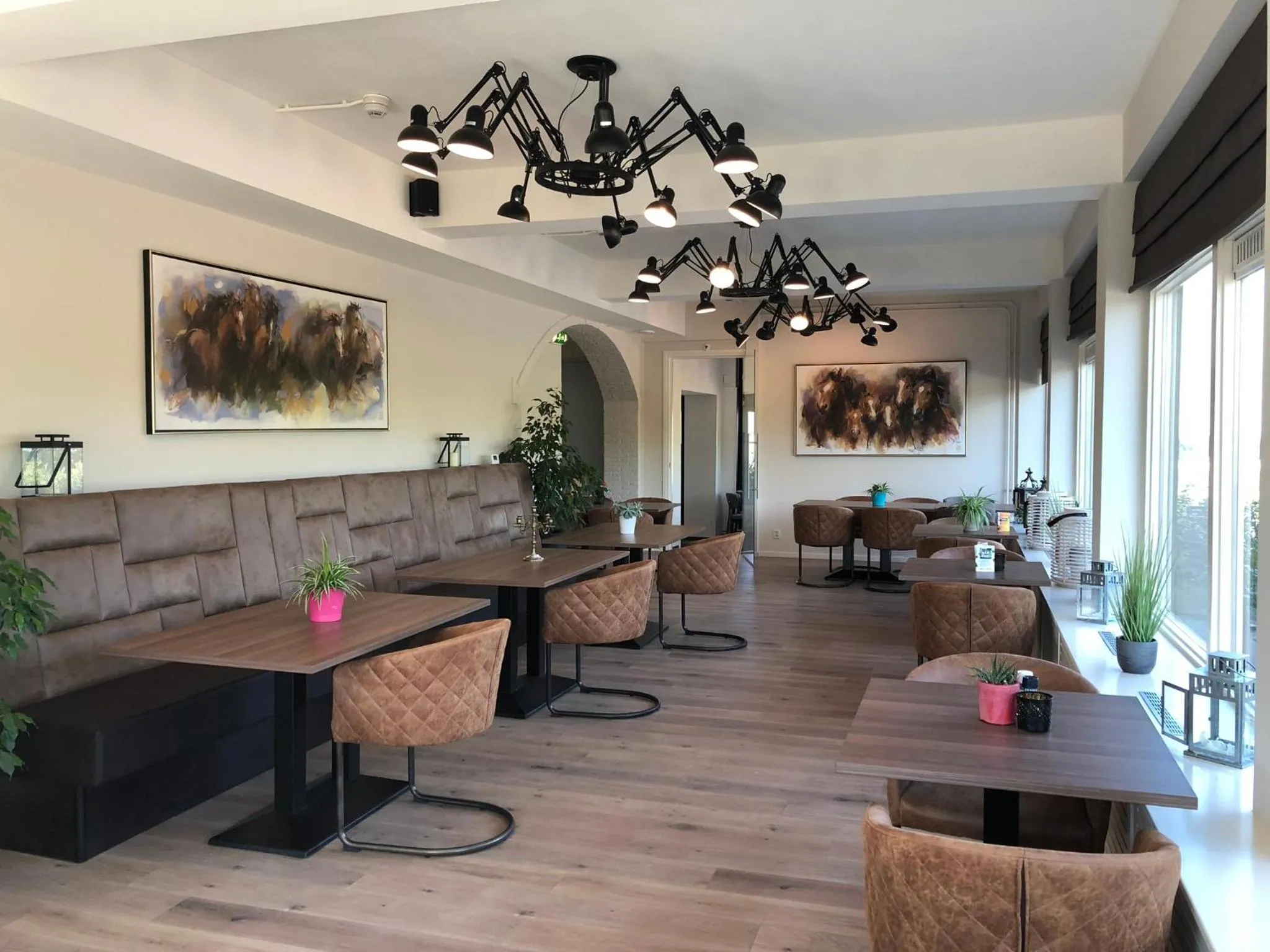 Restaurant/places to eat in Hotel de Plank - alle kamers met airconditioning