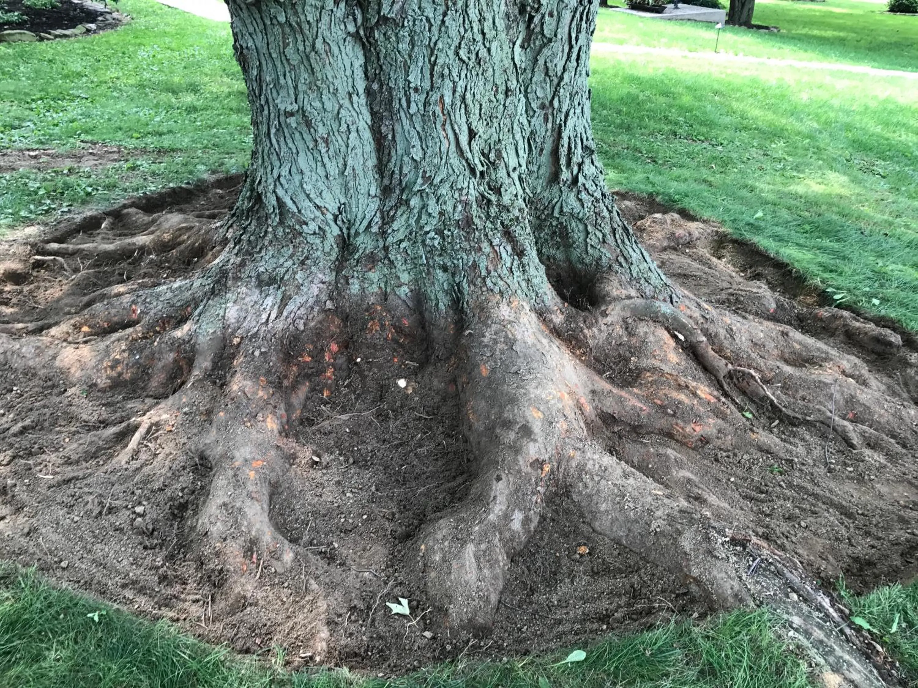 Garden in Carriage Stop Bed & Breakfast
