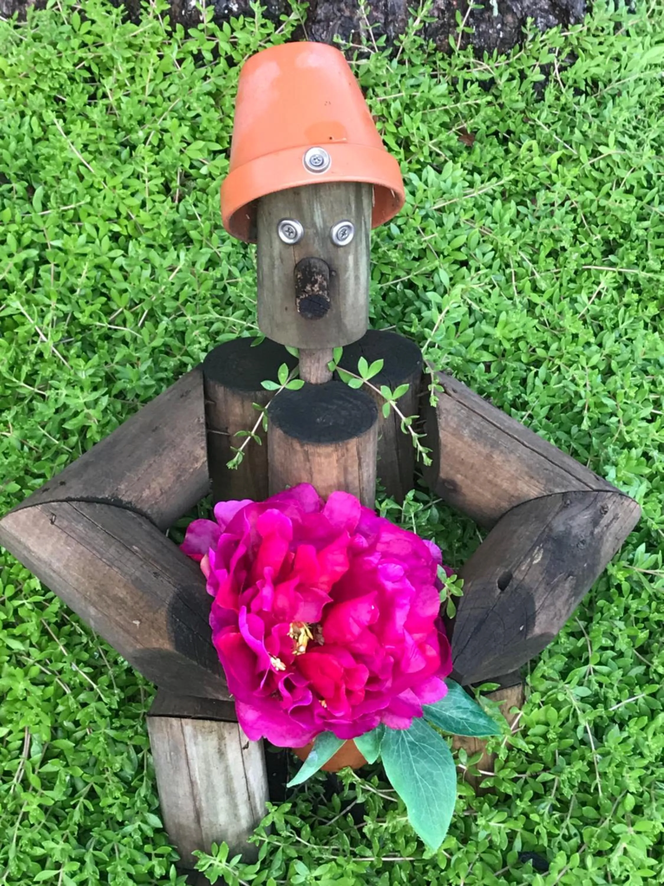 Garden in Carriage Stop Bed & Breakfast