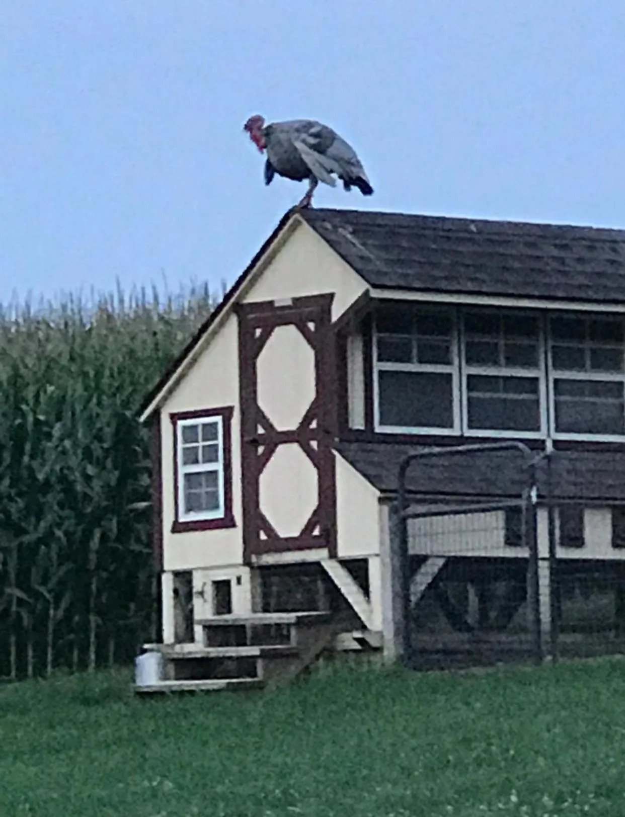 Property building in Carriage Stop Bed & Breakfast