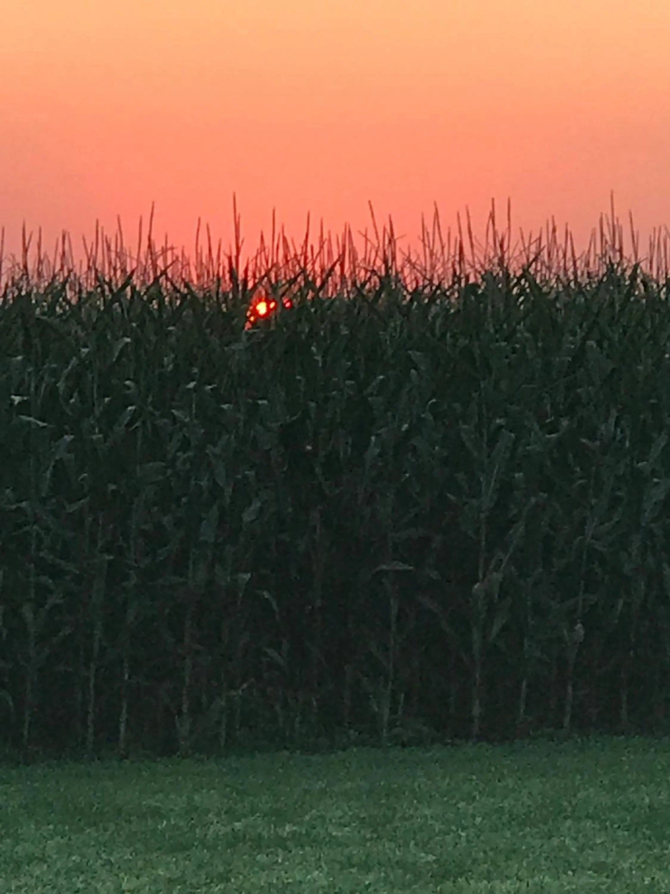 Natural landscape in Carriage Stop Bed & Breakfast