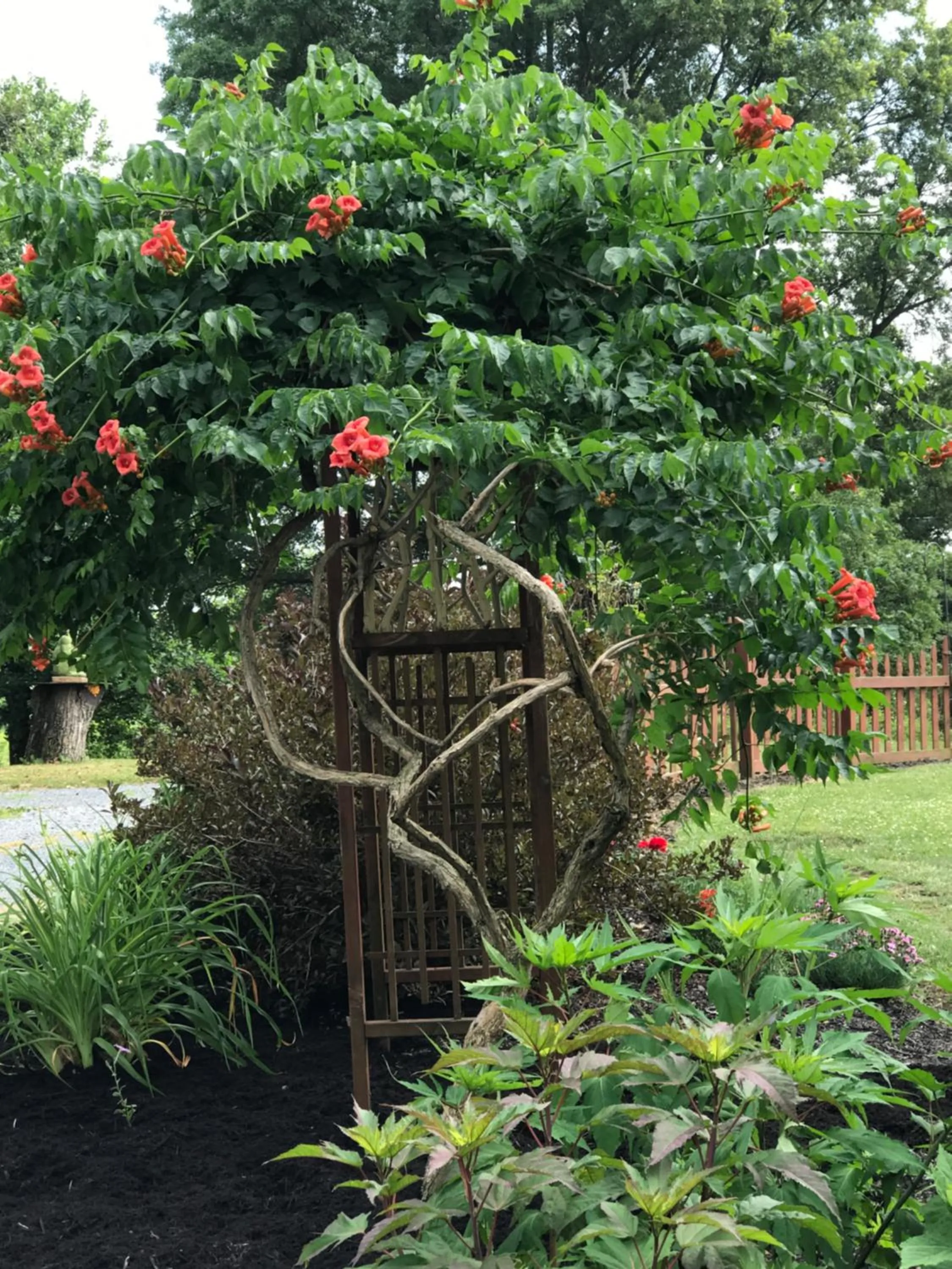 Garden in Carriage Stop Bed & Breakfast