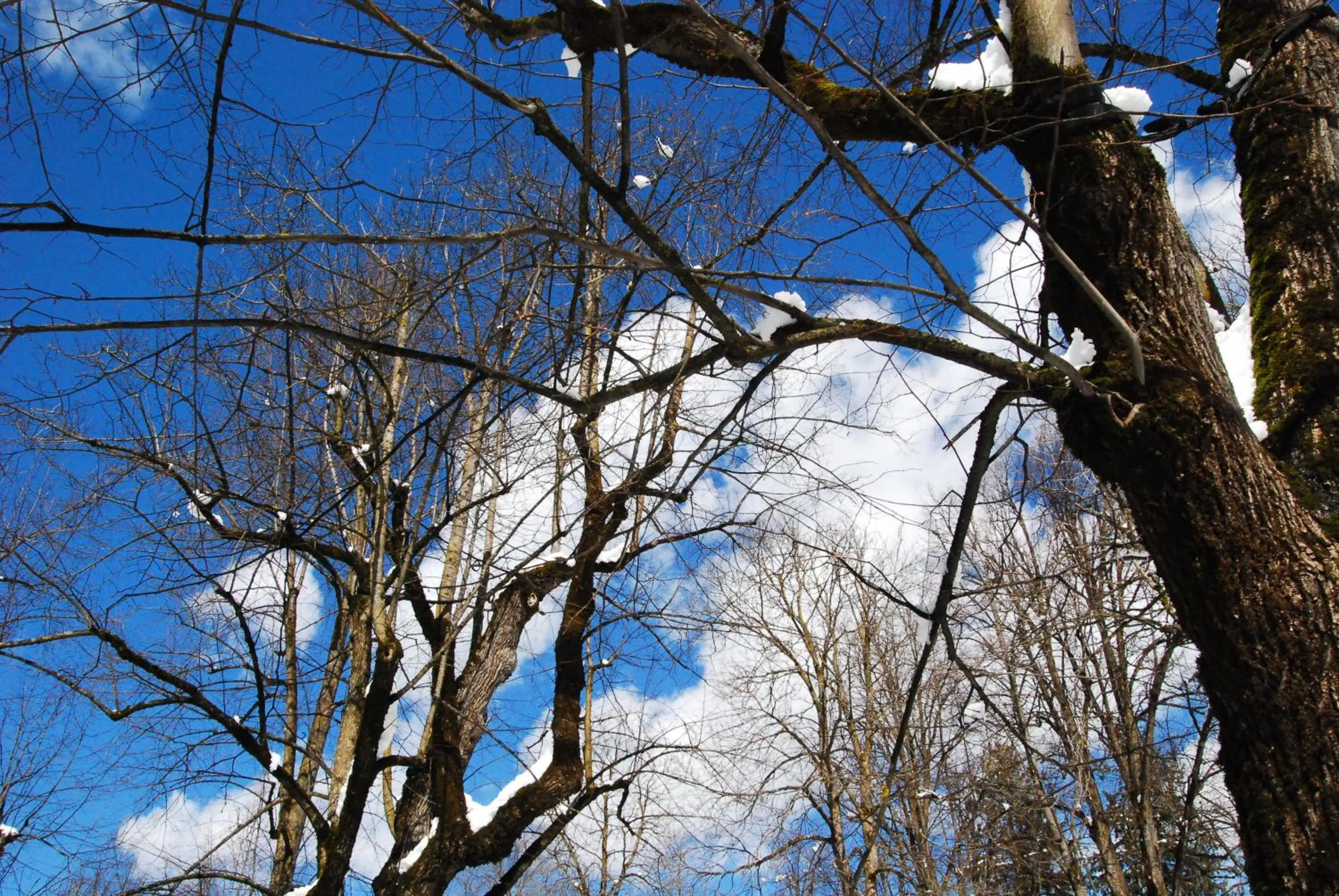 Nearby landmark in Hotel San Valier