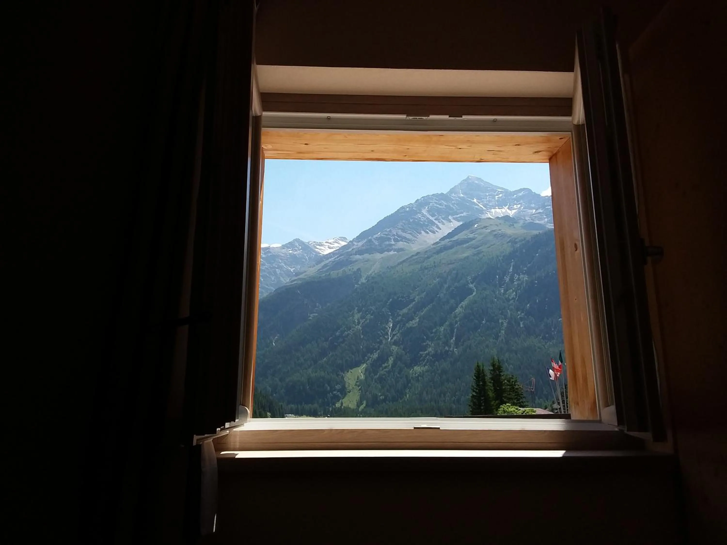 Mountain view in Hotel Meublè Adler - Rooms & Mountain Apartments