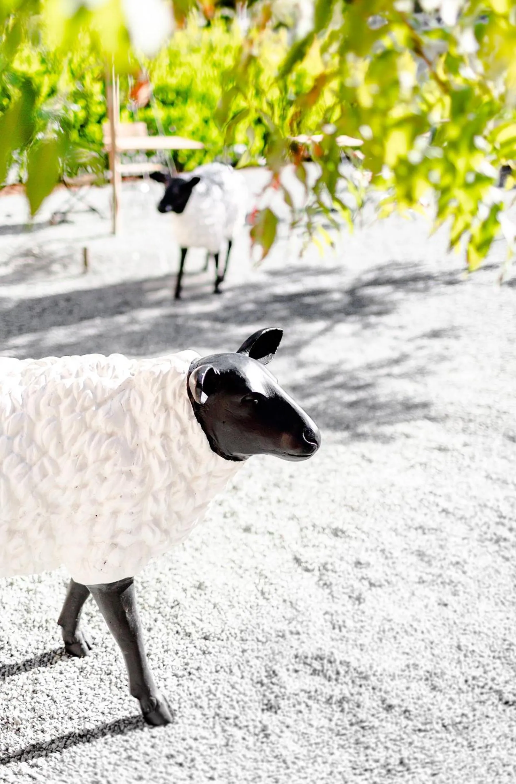Garden in The Francis House