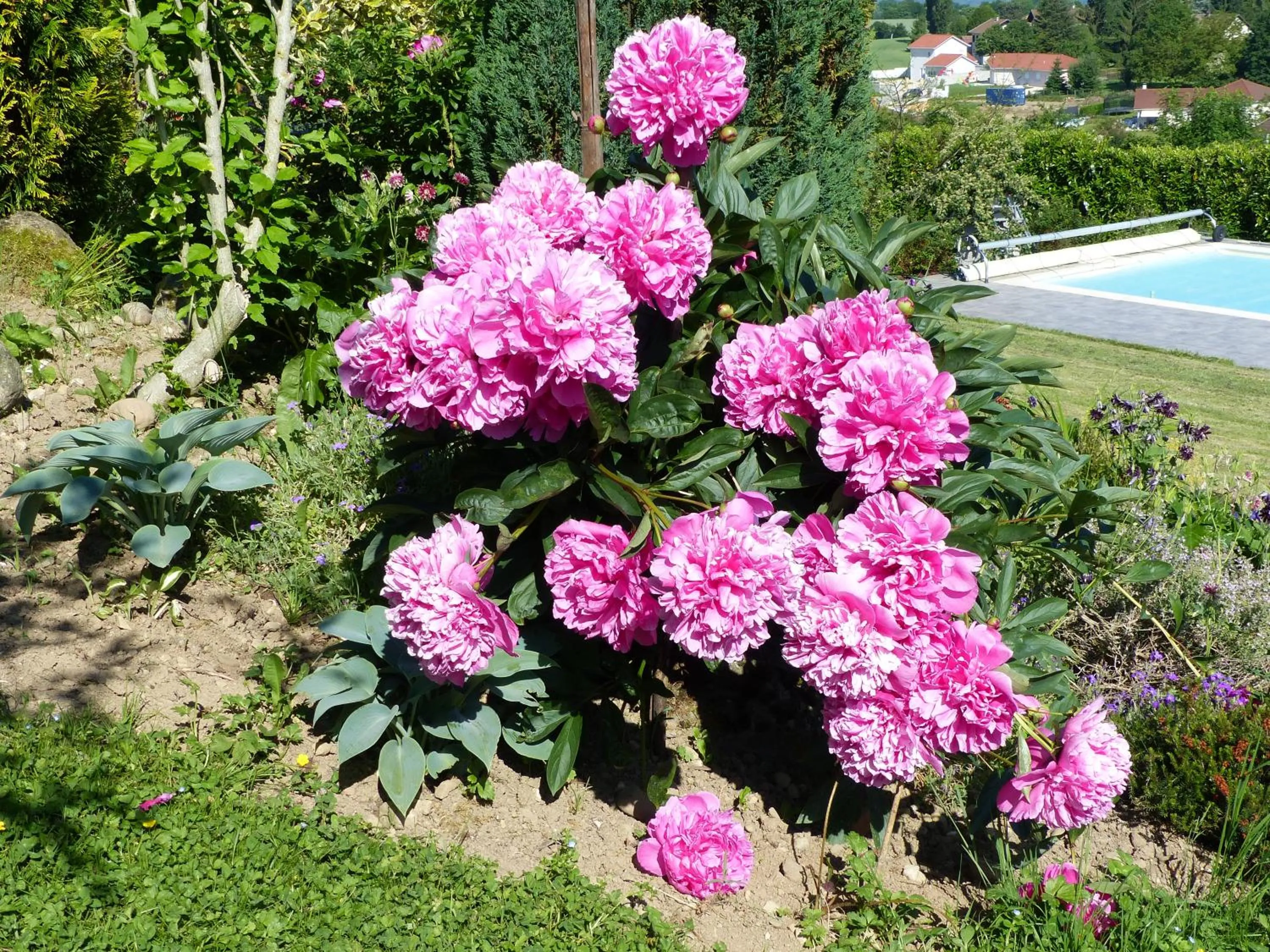 Garden view in Les Enselmes