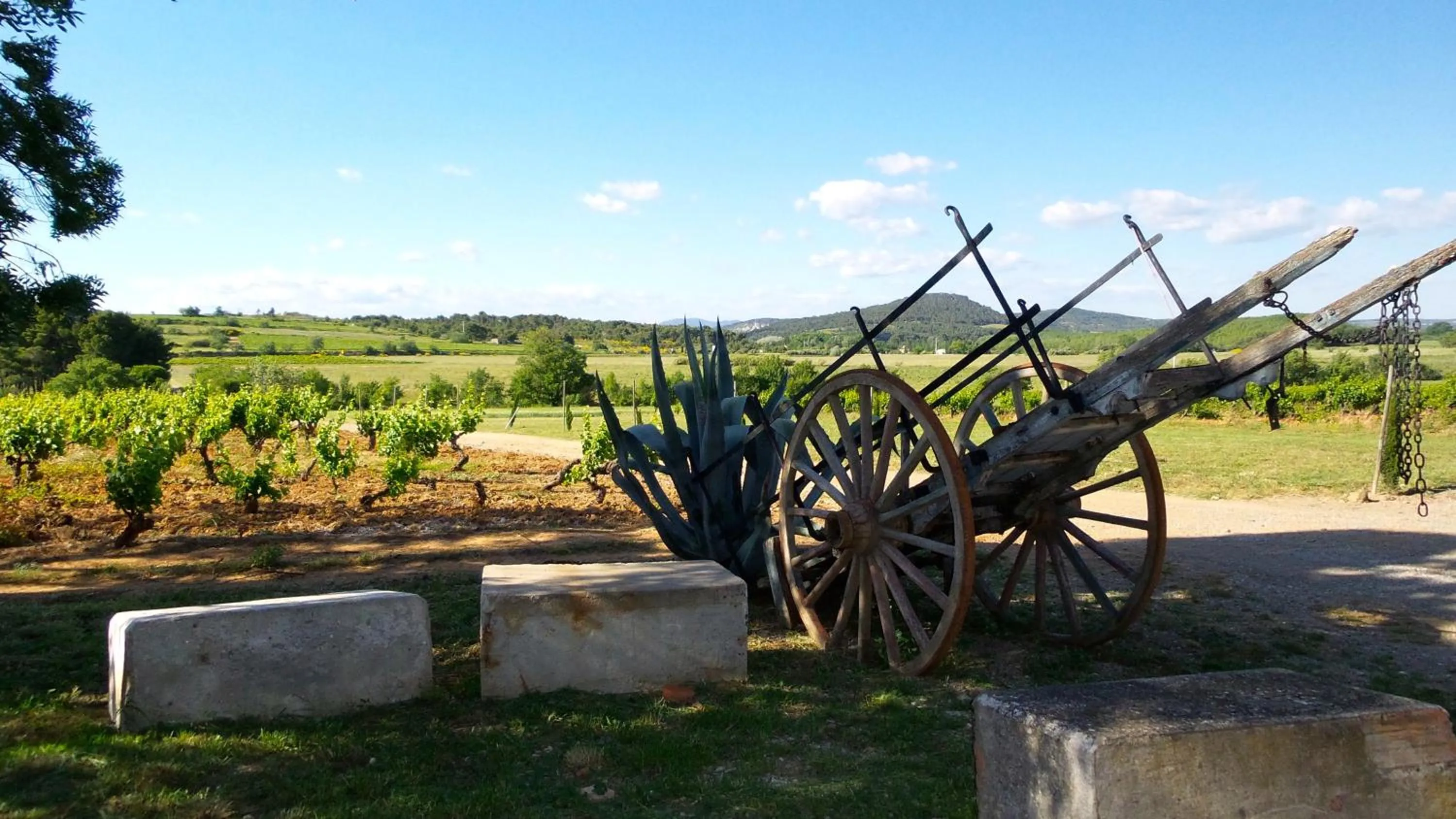 Garden view in Chateau Le Vergel Authenac