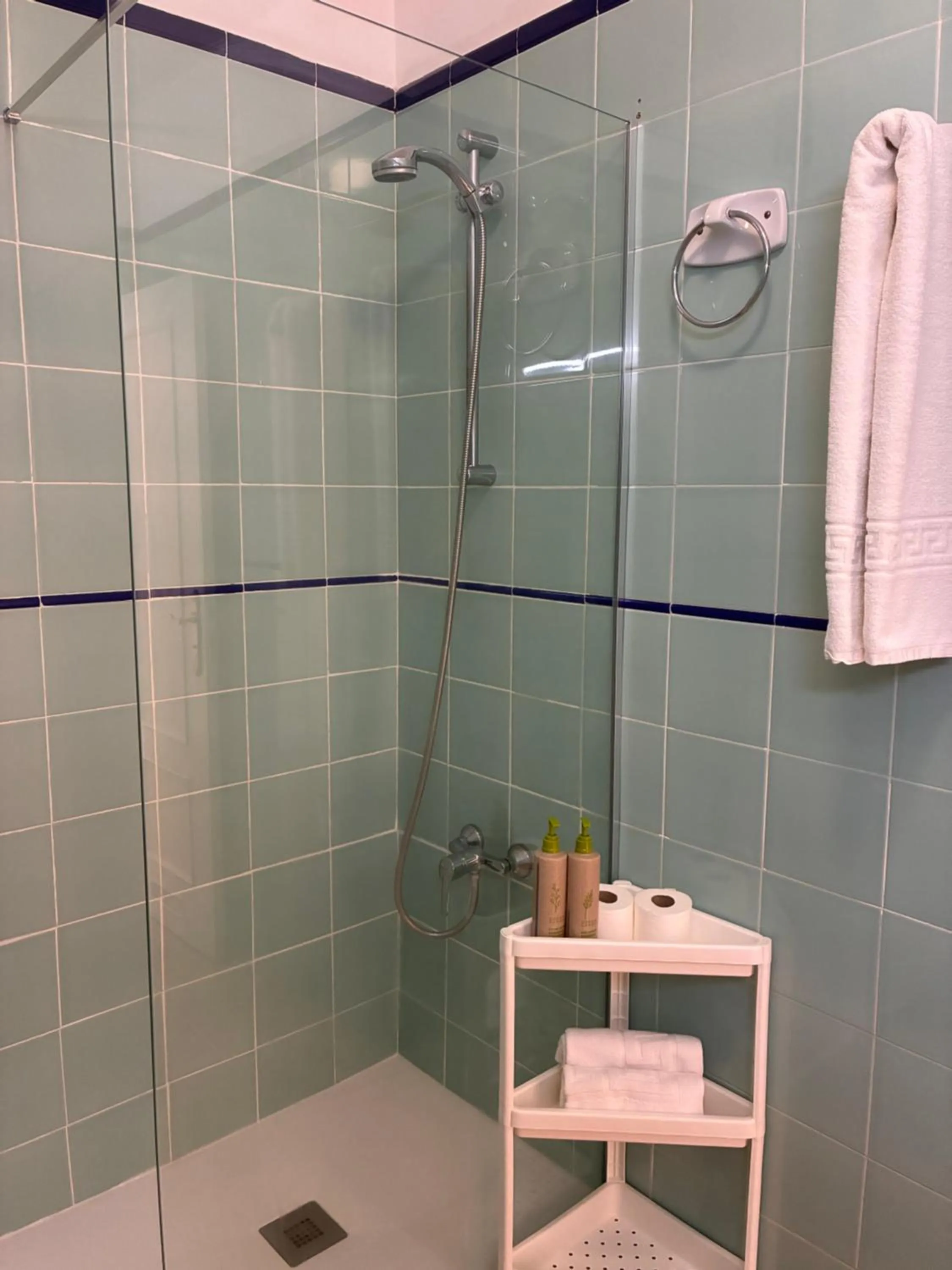 Shower in Apartamentos Jardín del Conde