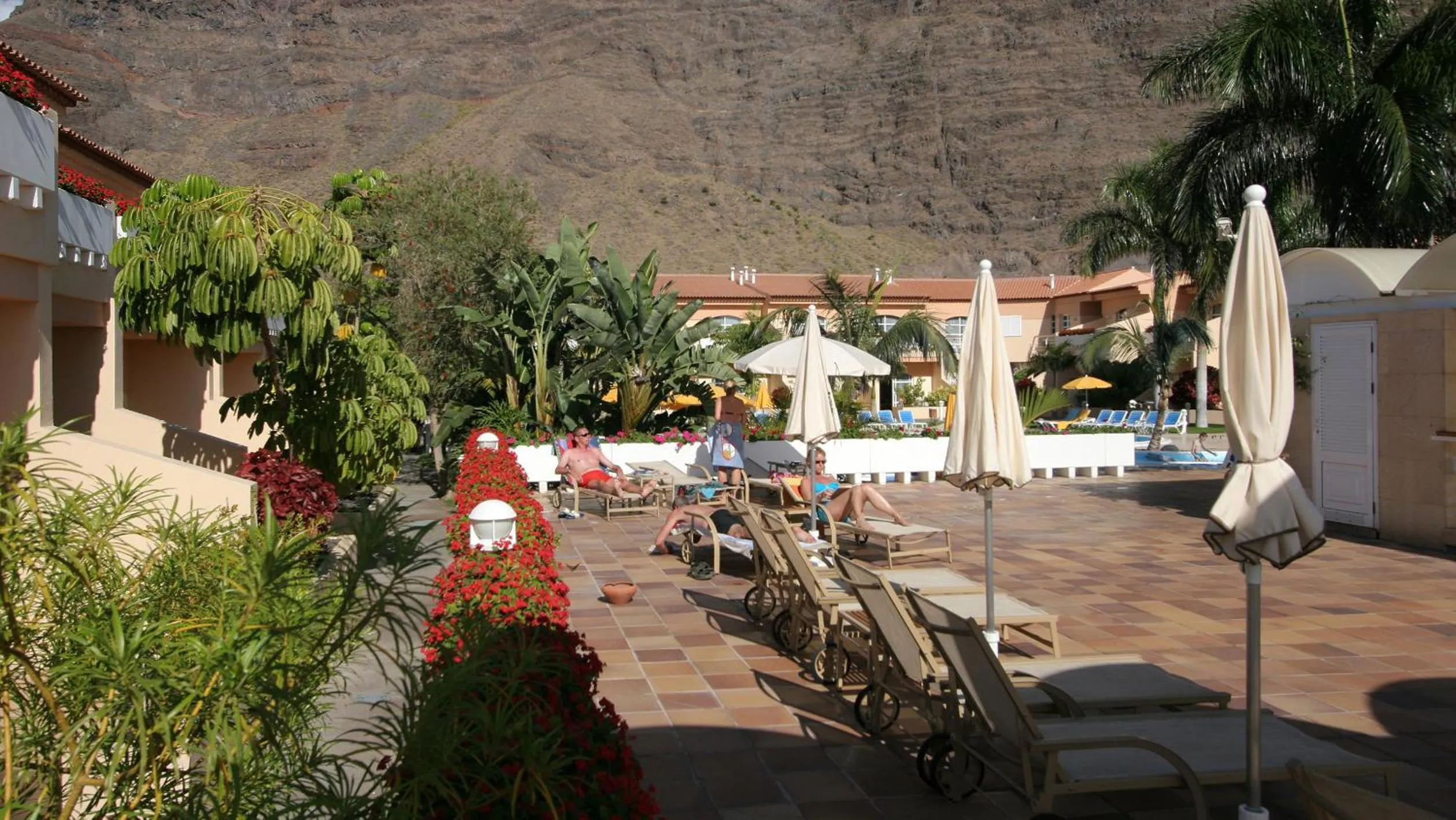 Garden in Apartamentos Jardín del Conde