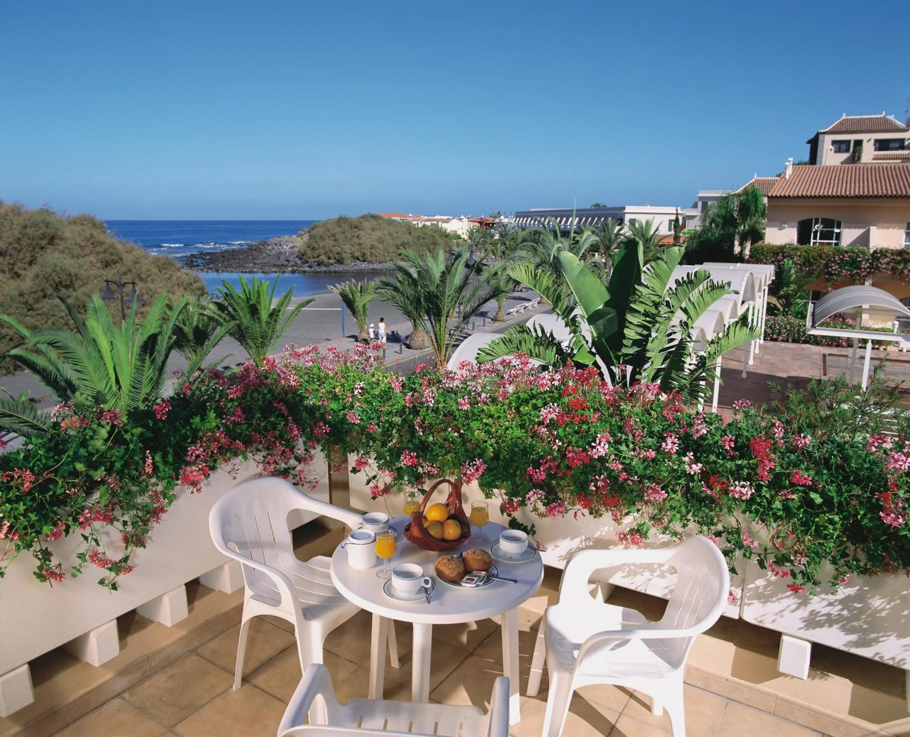 Garden in Apartamentos Jardín del Conde