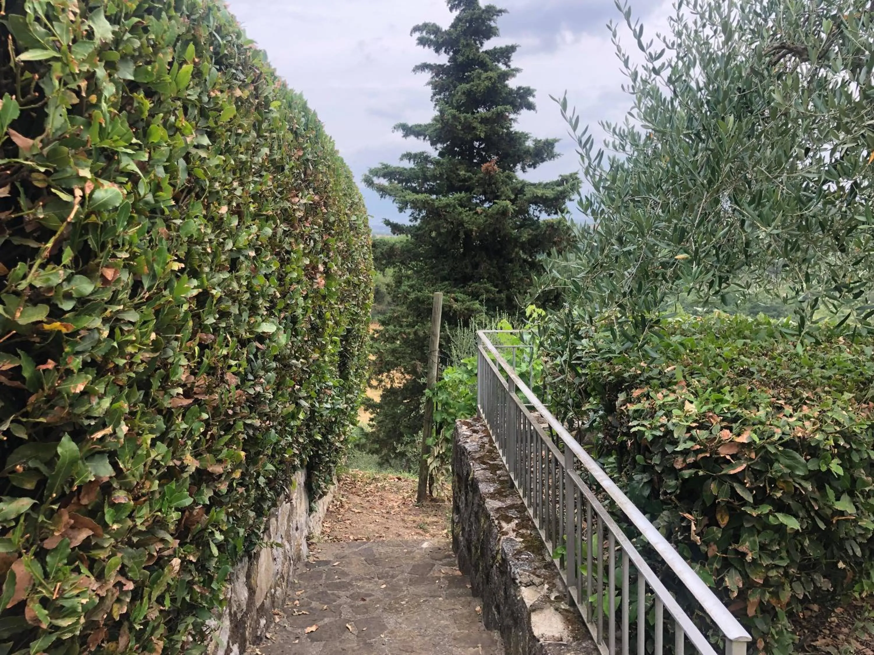 Garden in La Valle di Anna