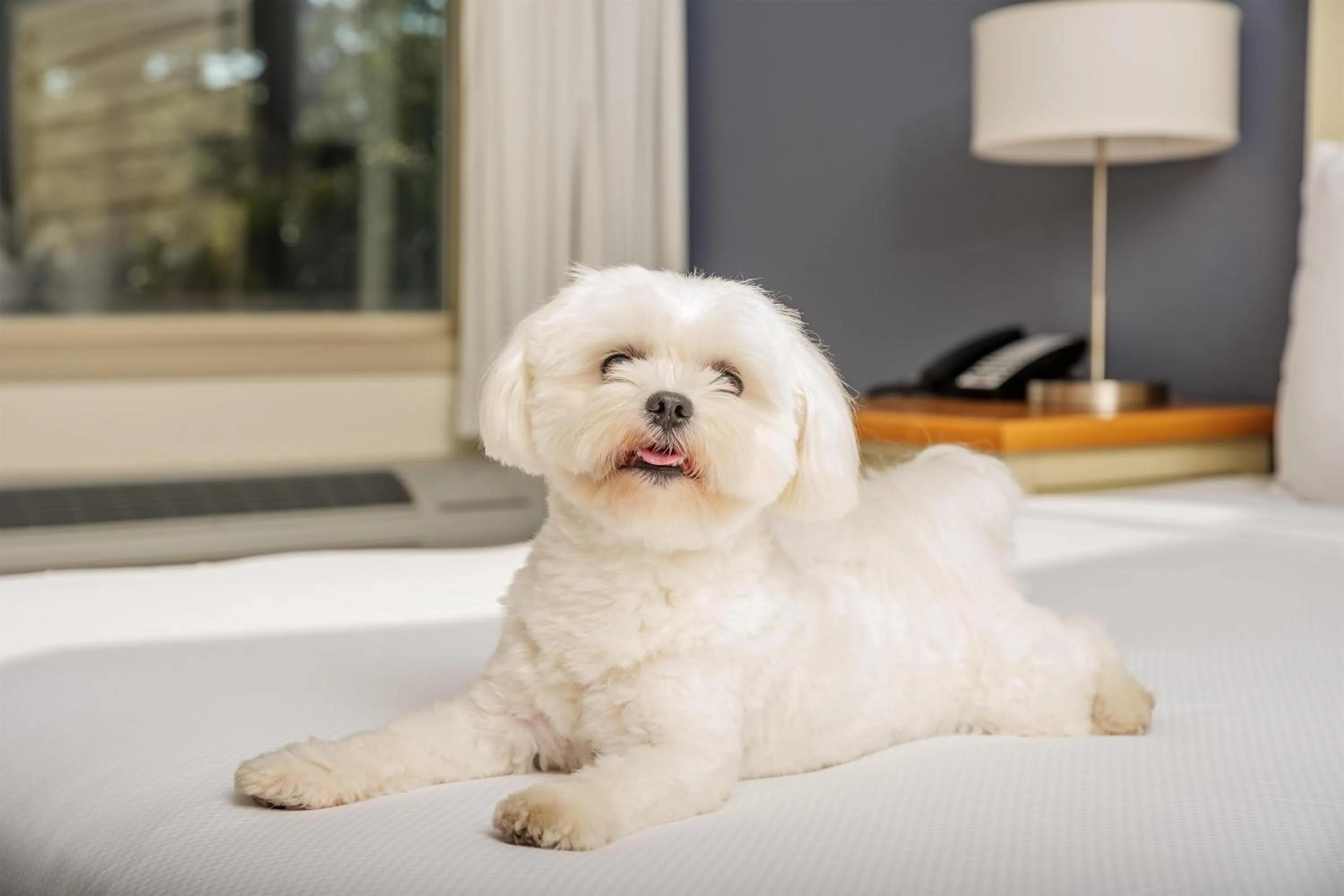 Other in Beach House Resort Hilton Head Island