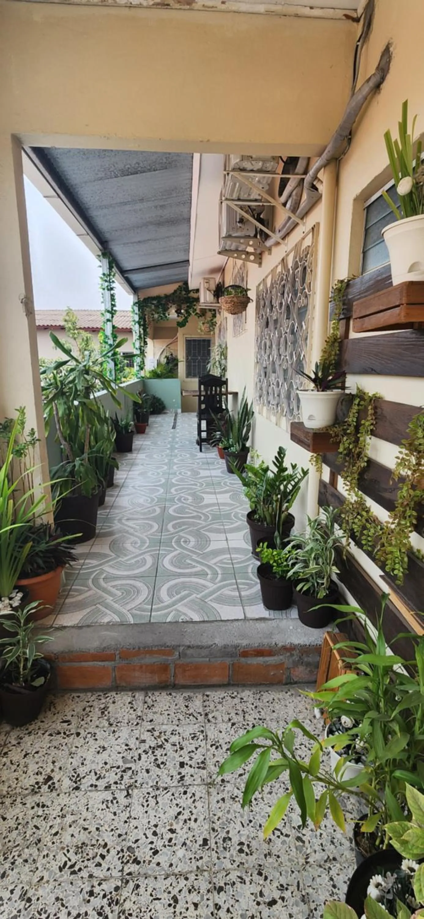 Patio in Casa Altamira
