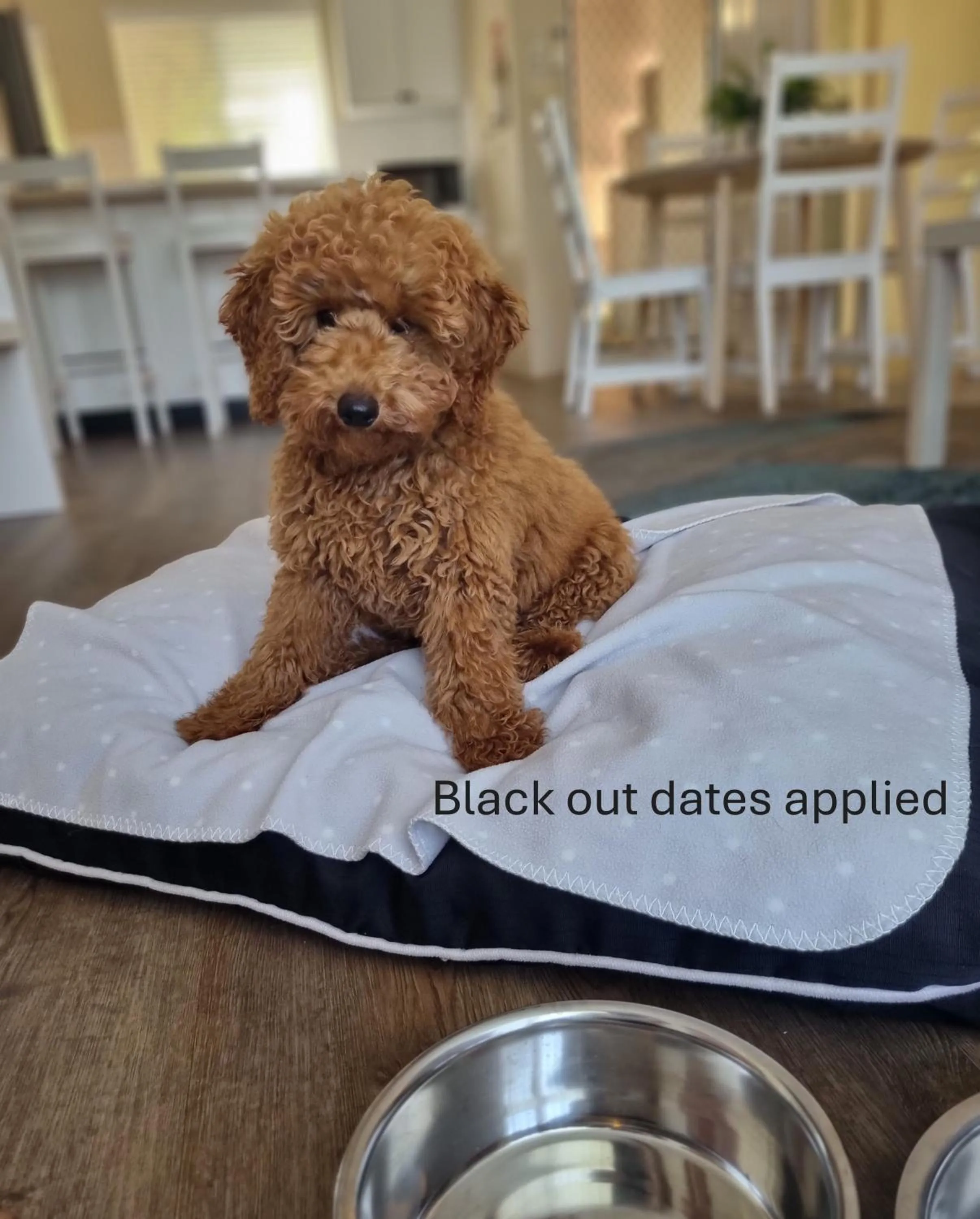 Broadwater Resort WA Tourism Awards 2025 Gold Winner