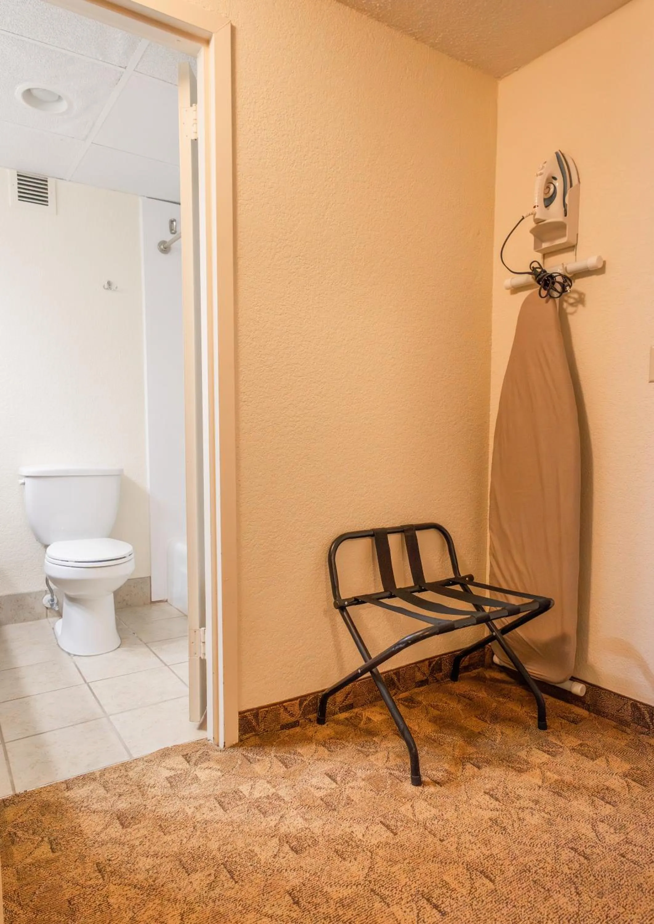 flat iron in Village Inn Clemmons-Winston Salem, Trademark by Wyndham