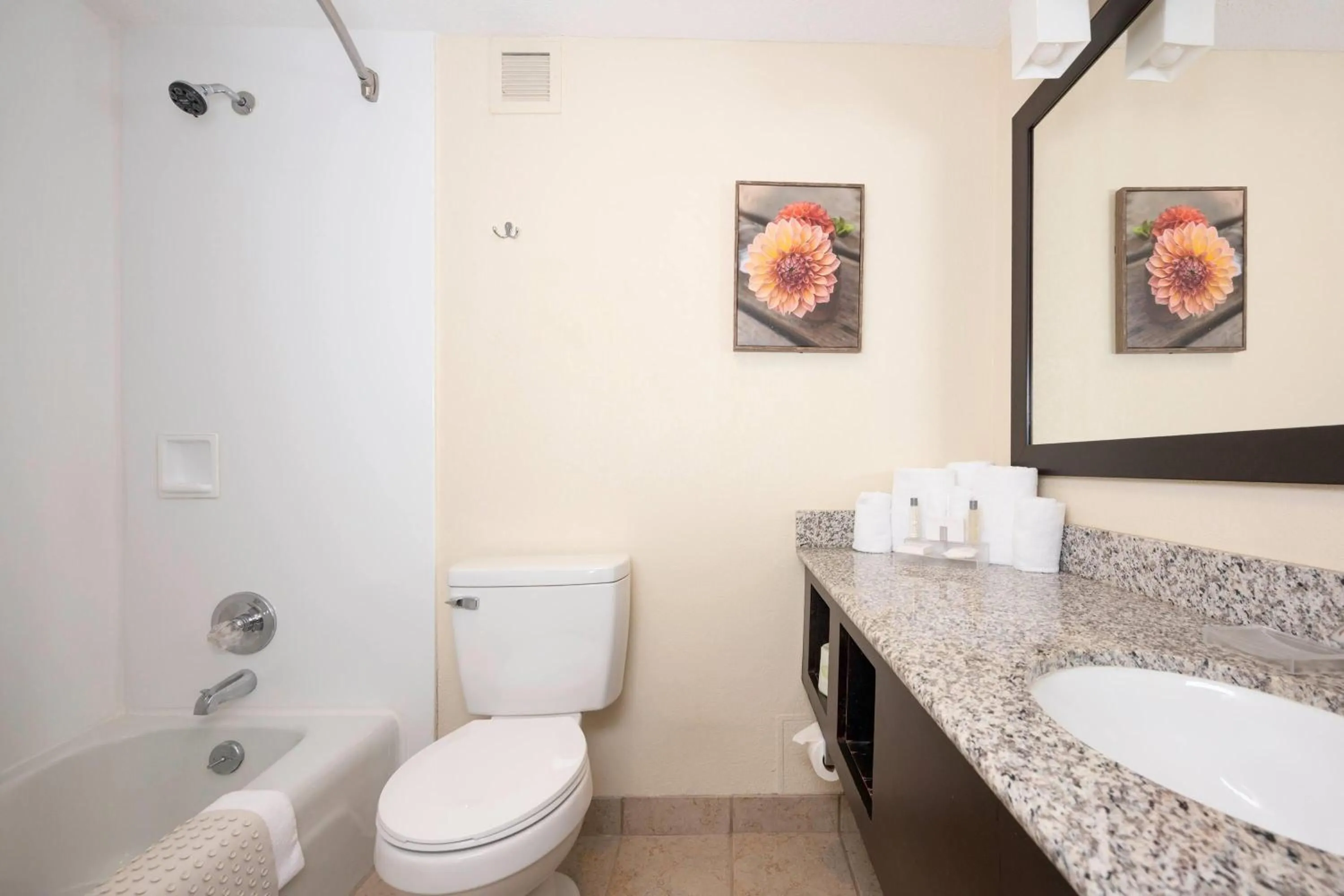 Bathroom in Village Inn Clemmons-Winston Salem, Trademark by Wyndham