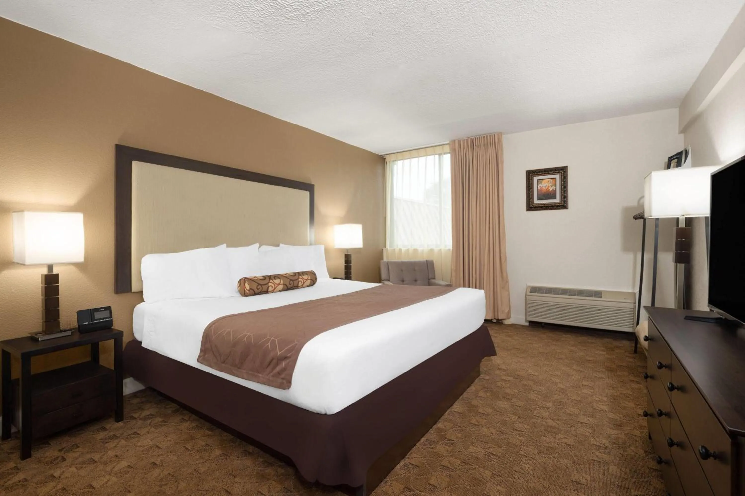 Photo of the whole room, Bed in Village Inn Clemmons-Winston Salem, Trademark by Wyndham