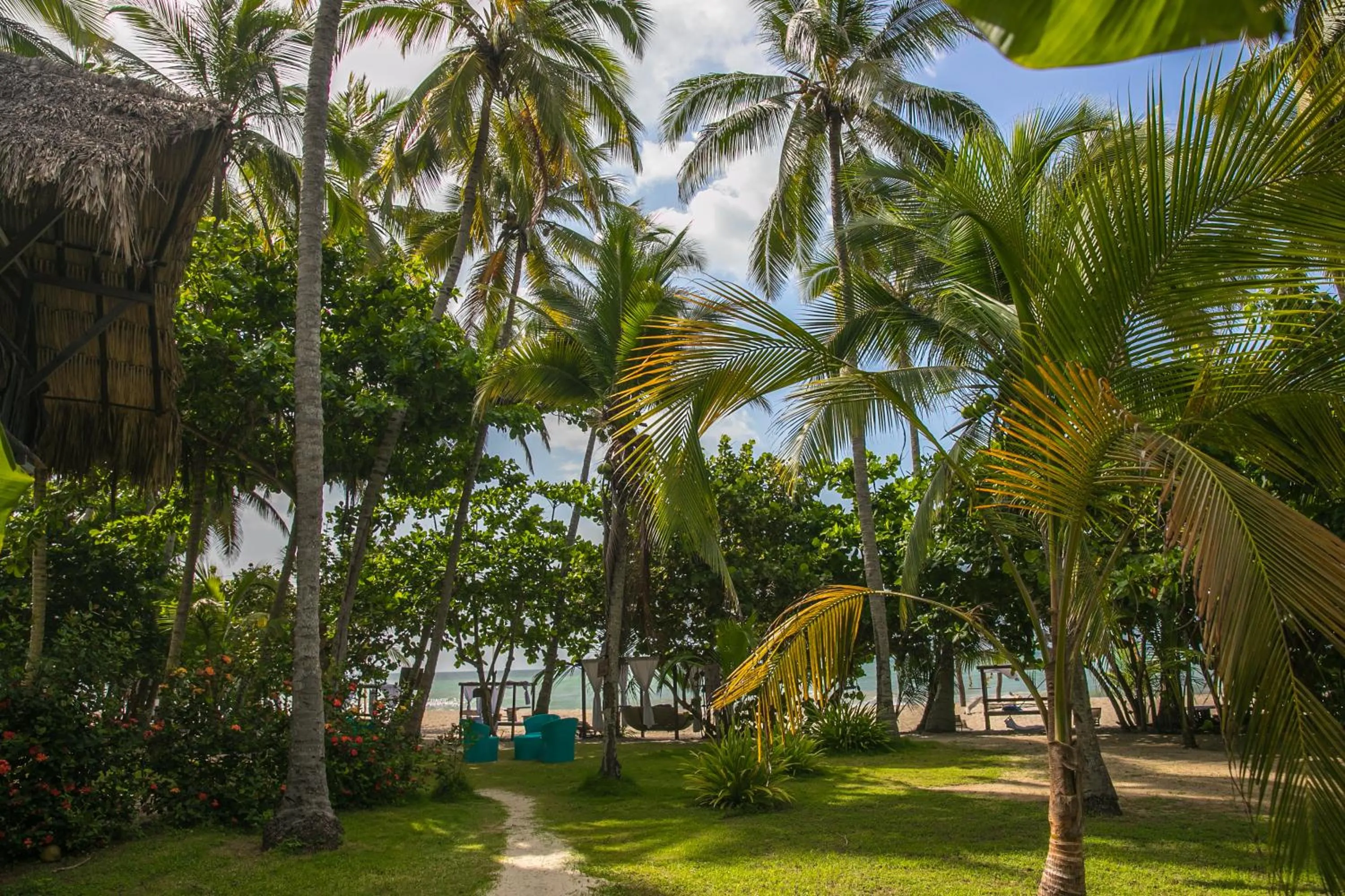 Beach in Sublime Eco Hotel