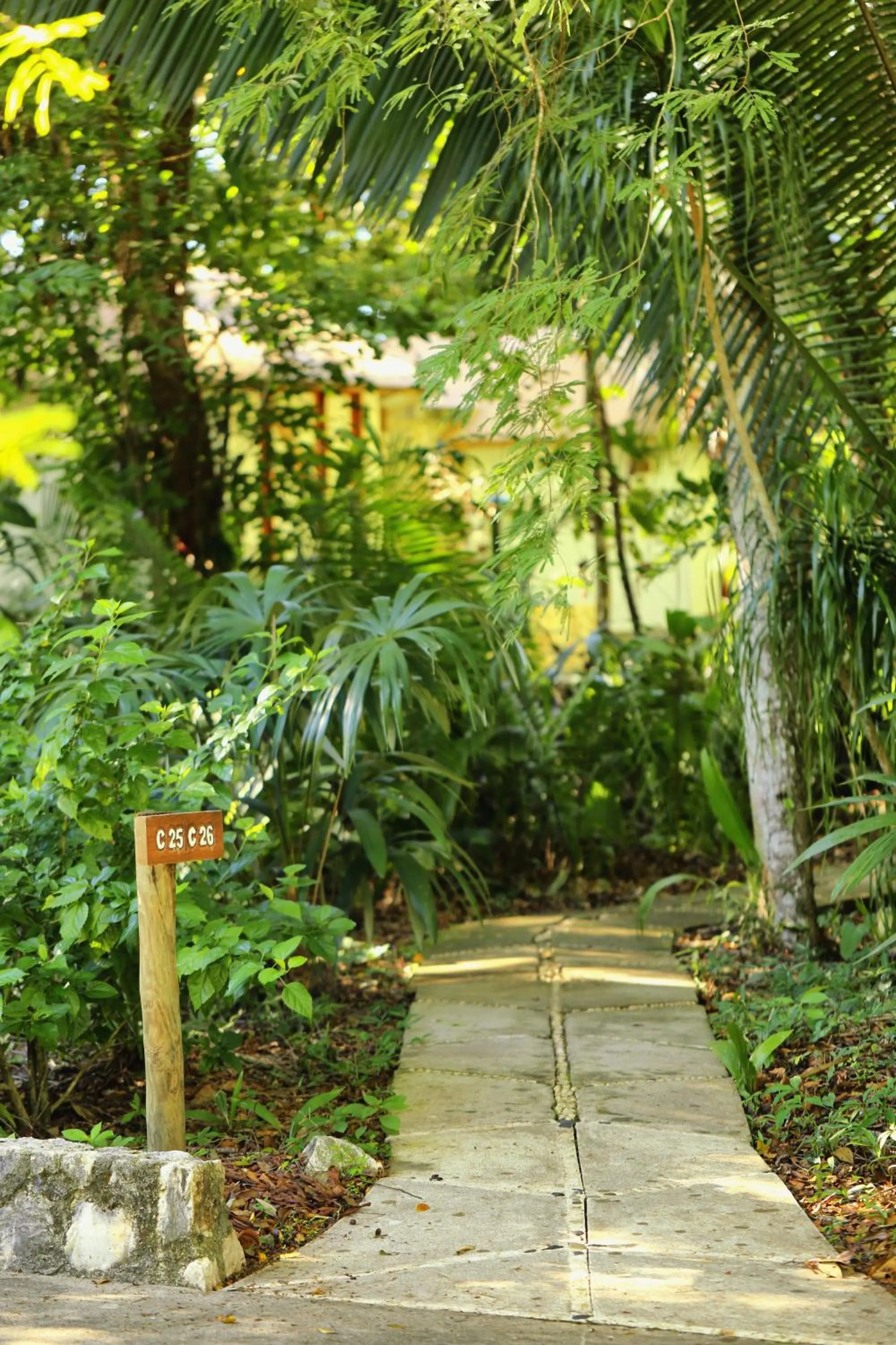 Garden in Villa Maya