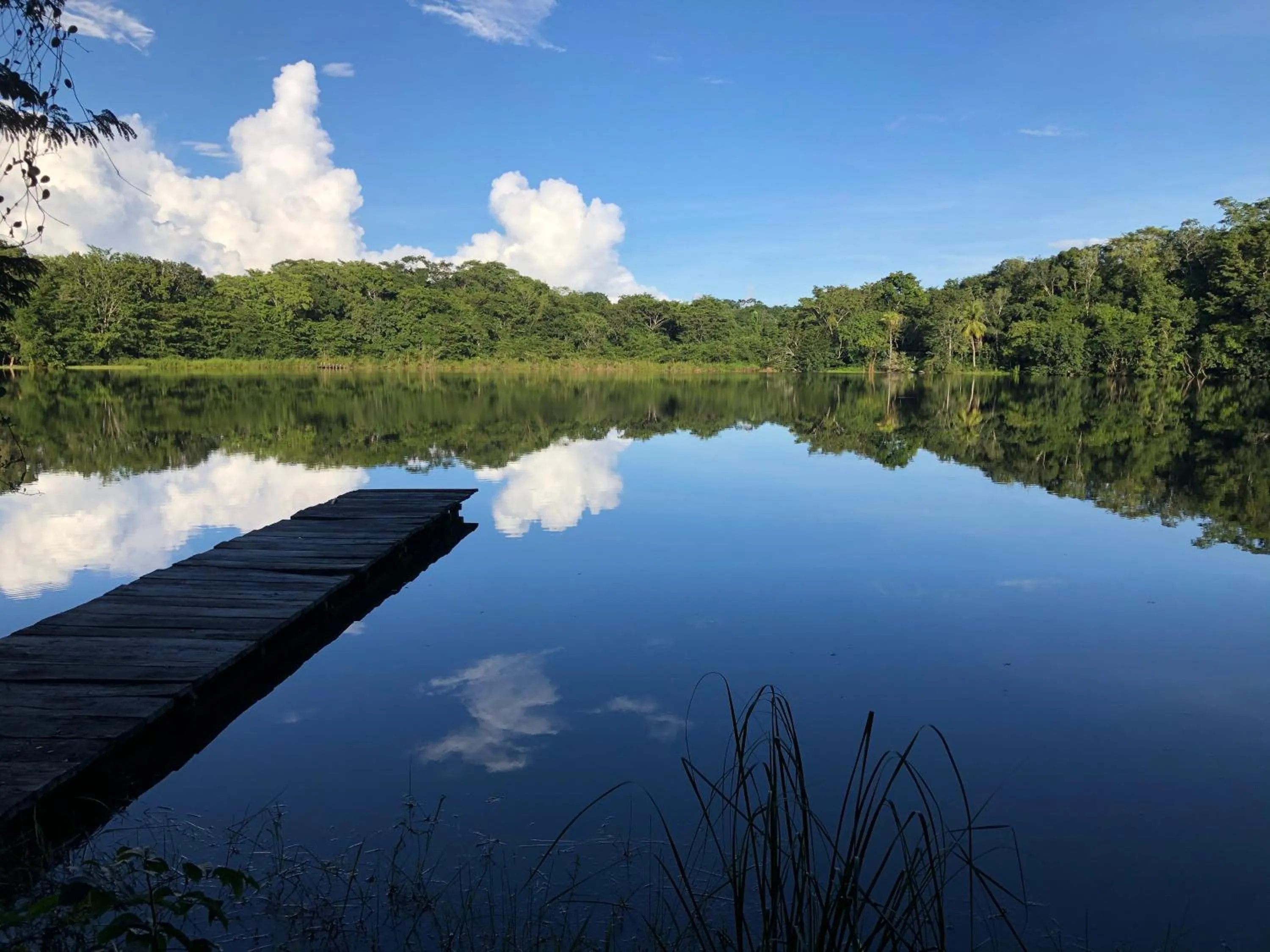 View (from property/room) in Villa Maya