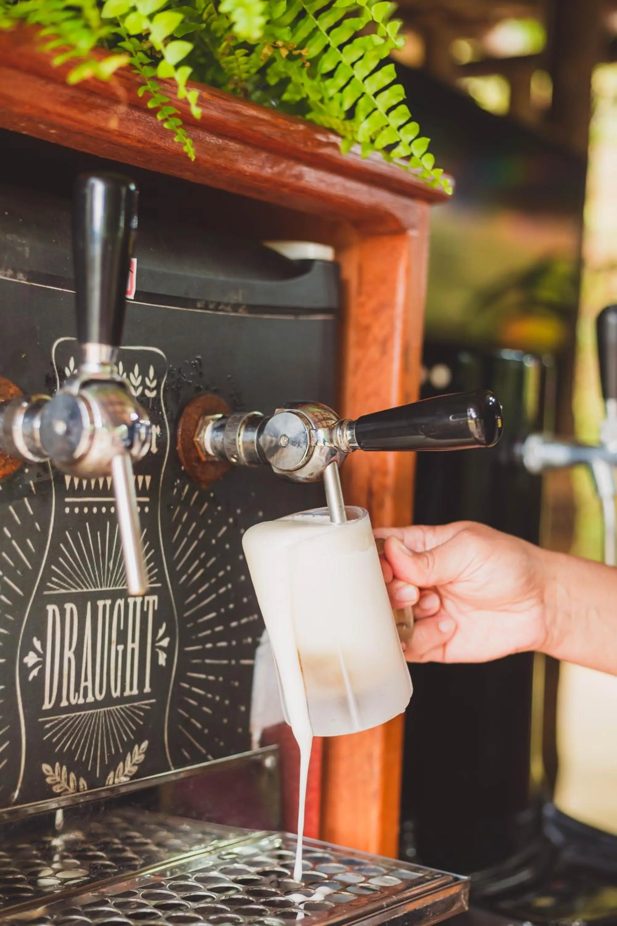 Restaurant/places to eat in Peniel do Sana Guest House