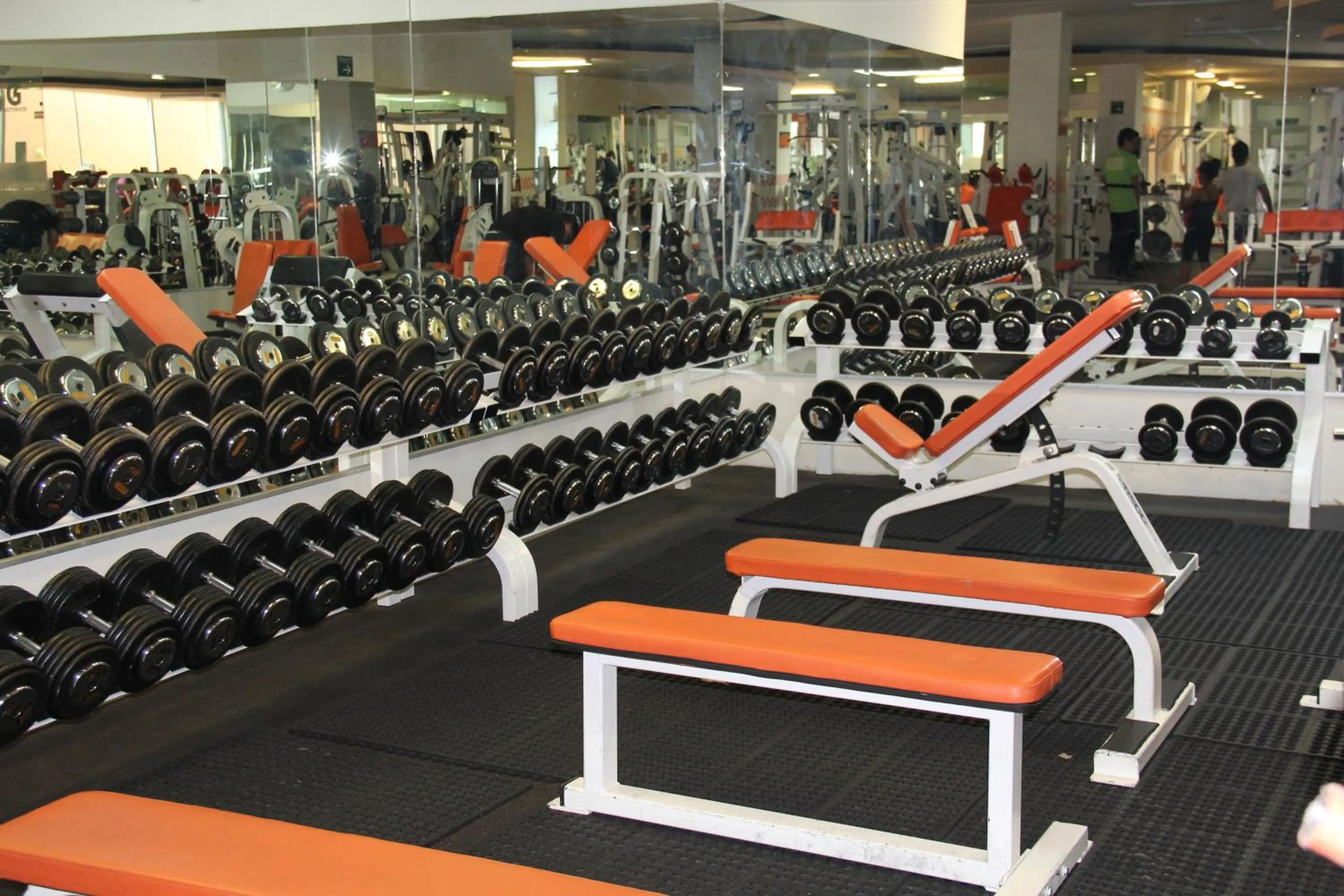 Fitness centre/facilities in Hotel Real Zapopan