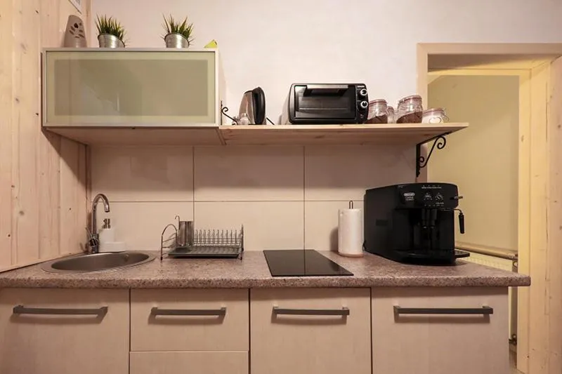 I Willa Mecenasówka Zakopane