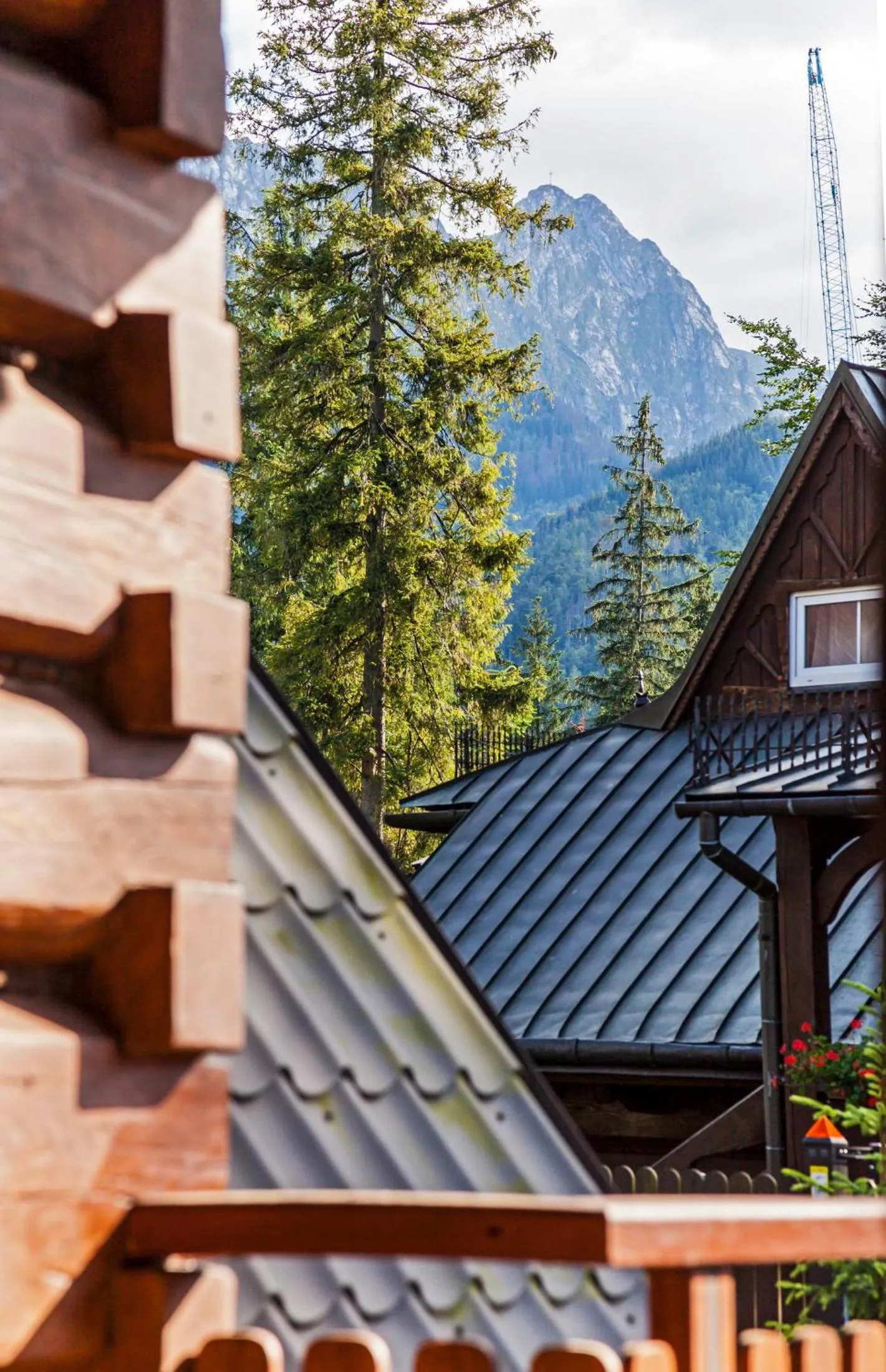 I Willa Mecenasówka Zakopane